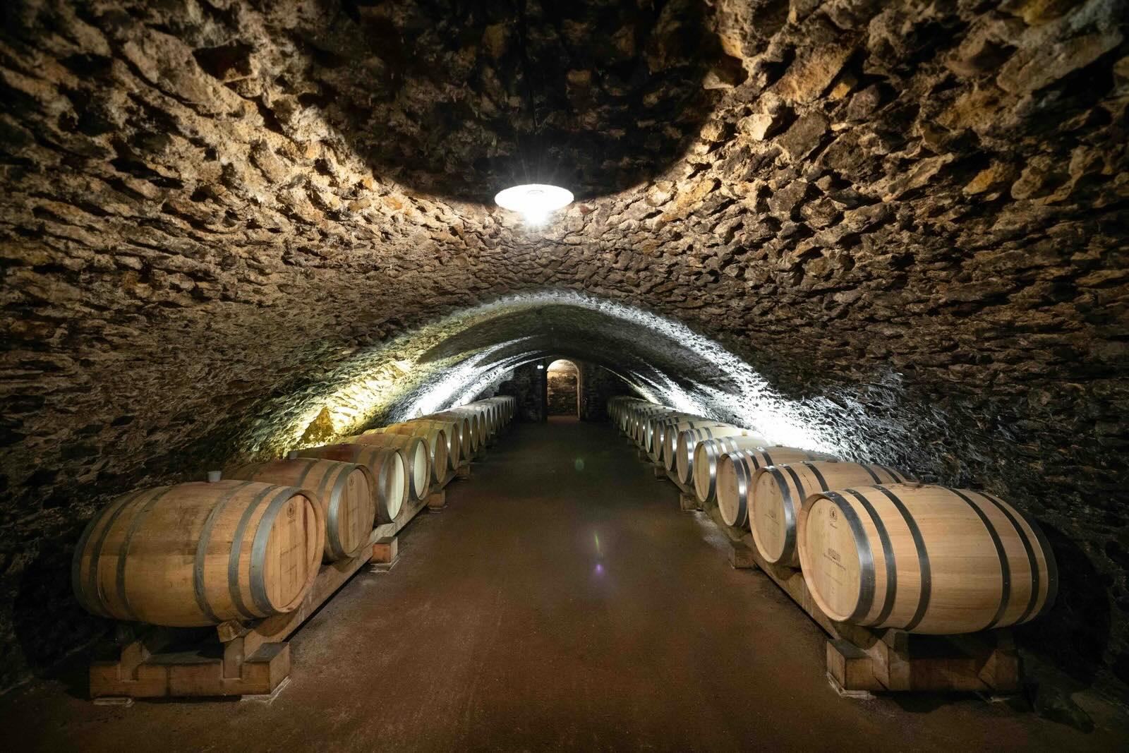 La cave à vin du château © Colastudio