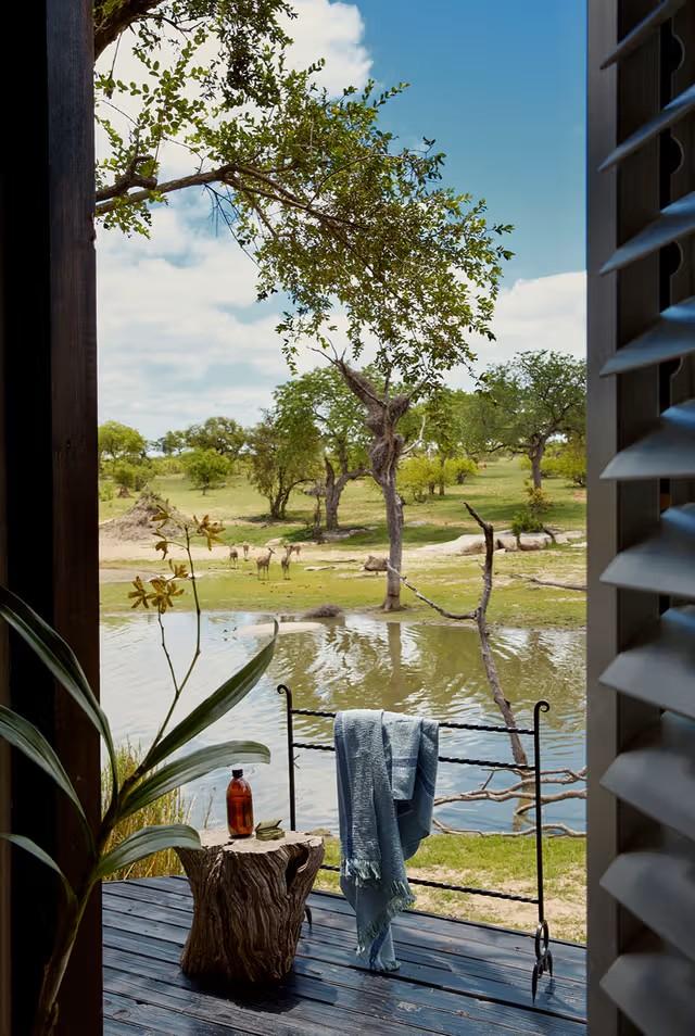 Charlsy Suite © Chitwa Chitwa