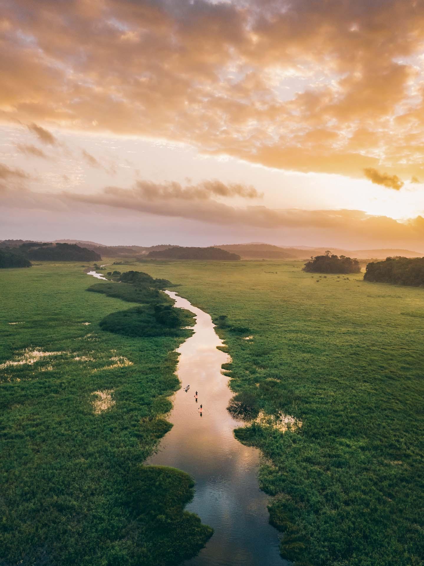 Marais de Kaw © Wonguy974 - Guyane 15 