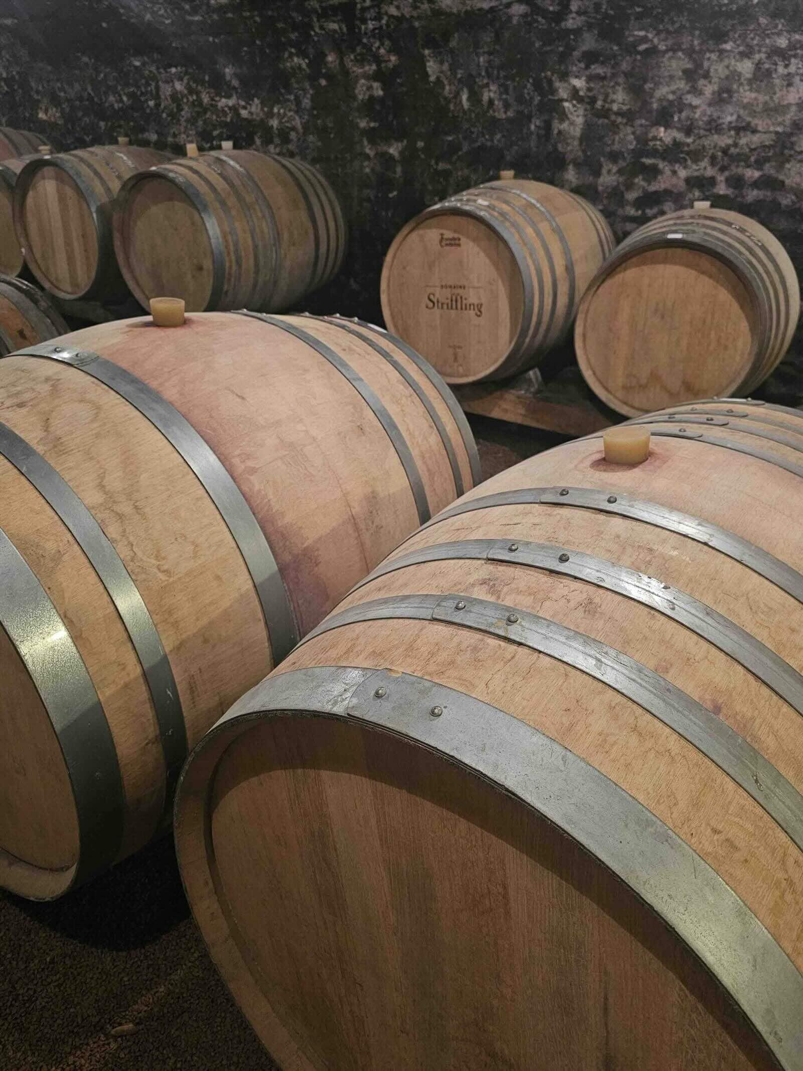 Faire une dégustation de vin © Domaine Striffling 