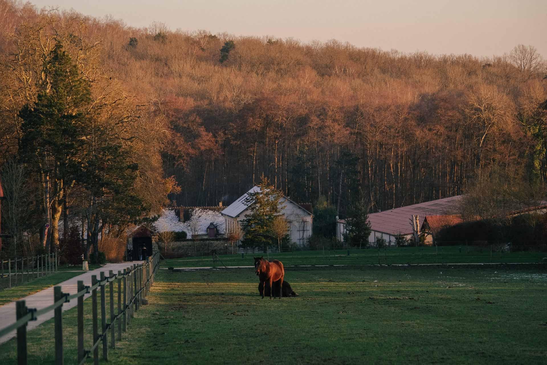 Le Barn © DR