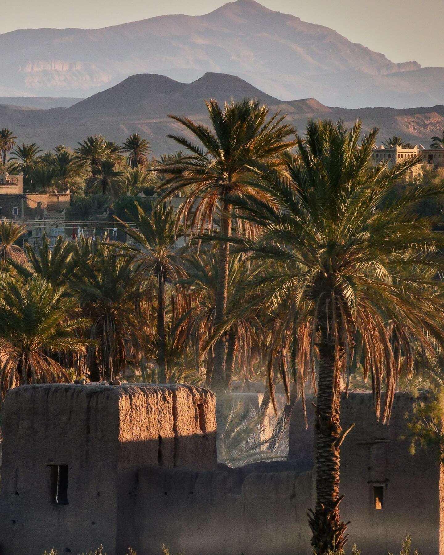 L’oasis de Soukra à quelques kilomètres de Ouarzazate © photoericmartin