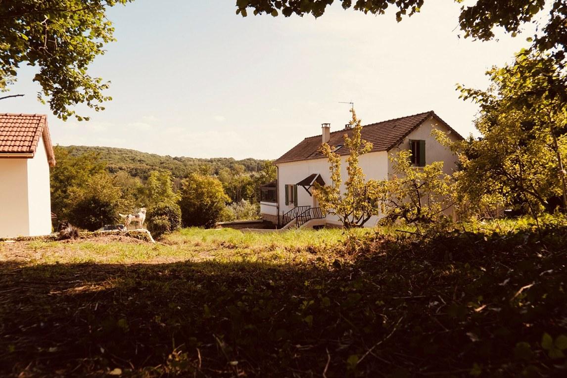 Un resort « dogs-only » en Île-de-France © Dog Valley