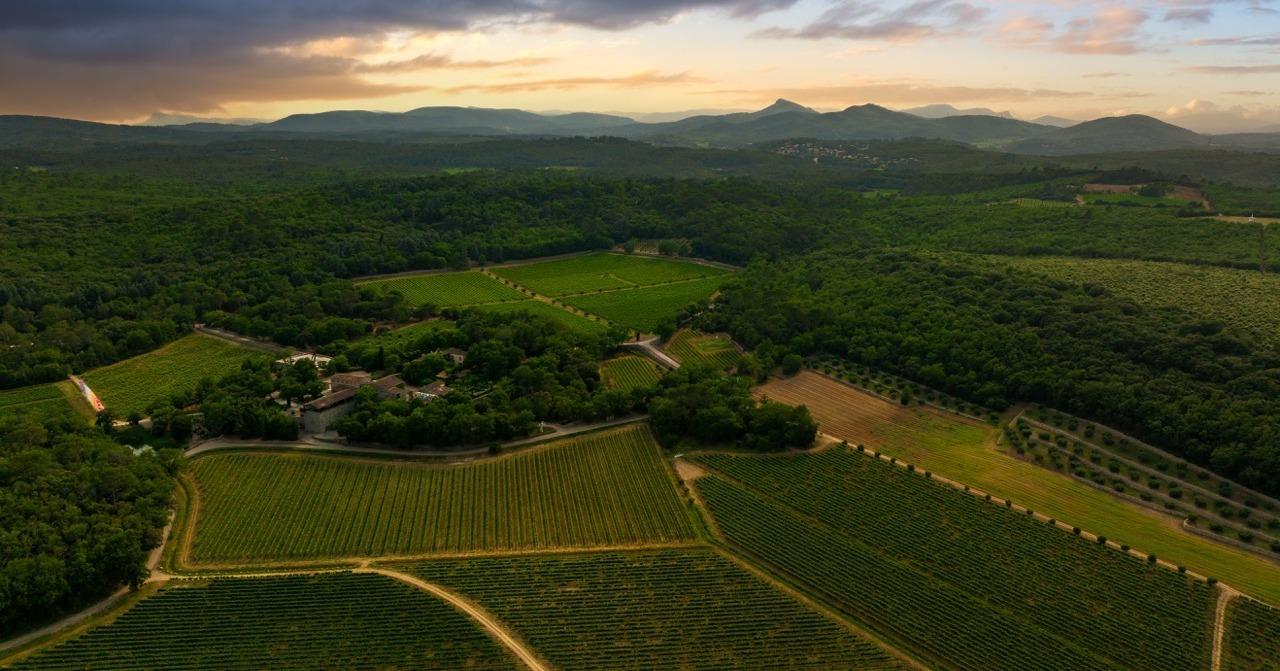 Domaine viticole et art de vivre en Provence verte © Commanderie de Peyrassol