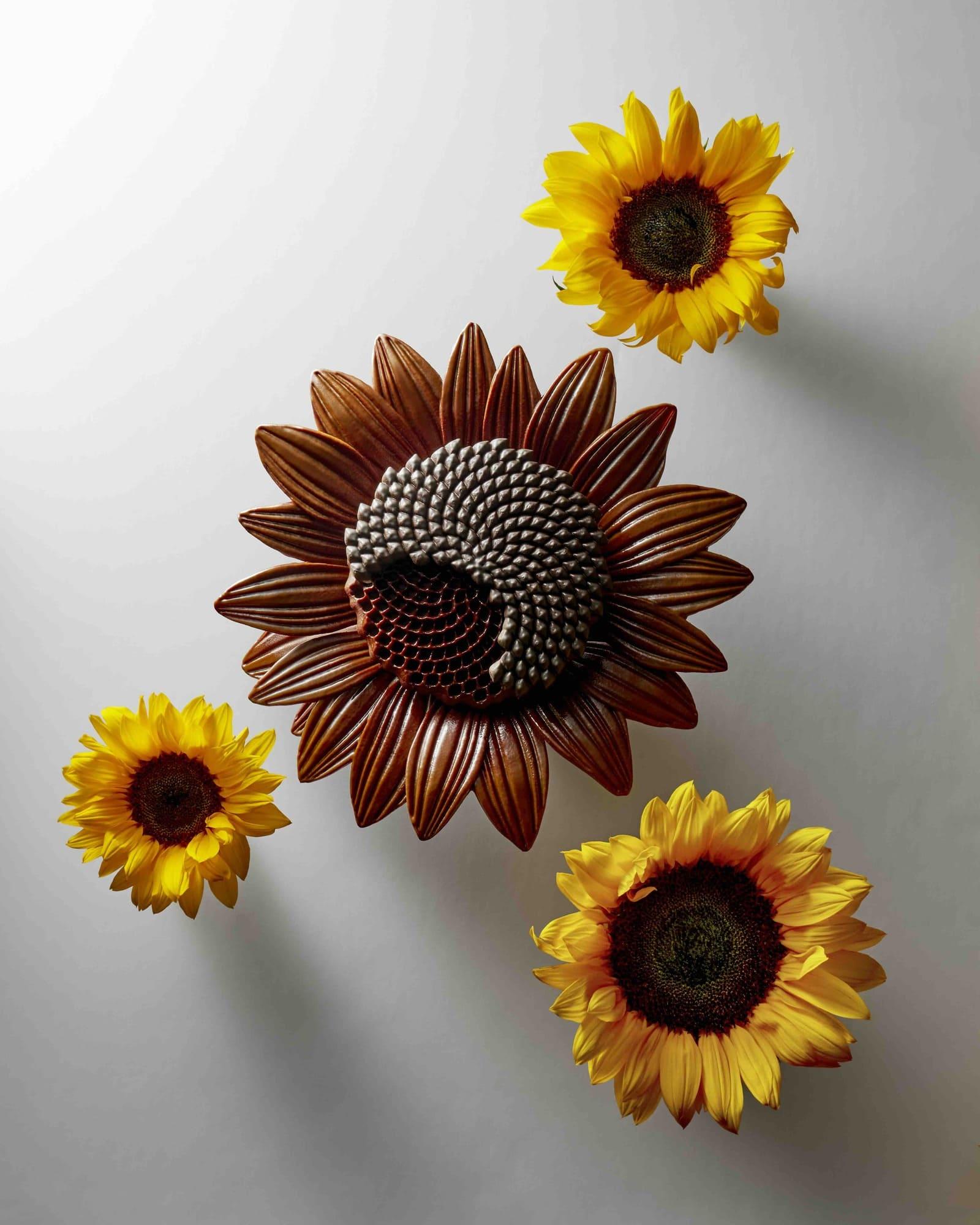 Fleur de Lumière © Laurent Fau 