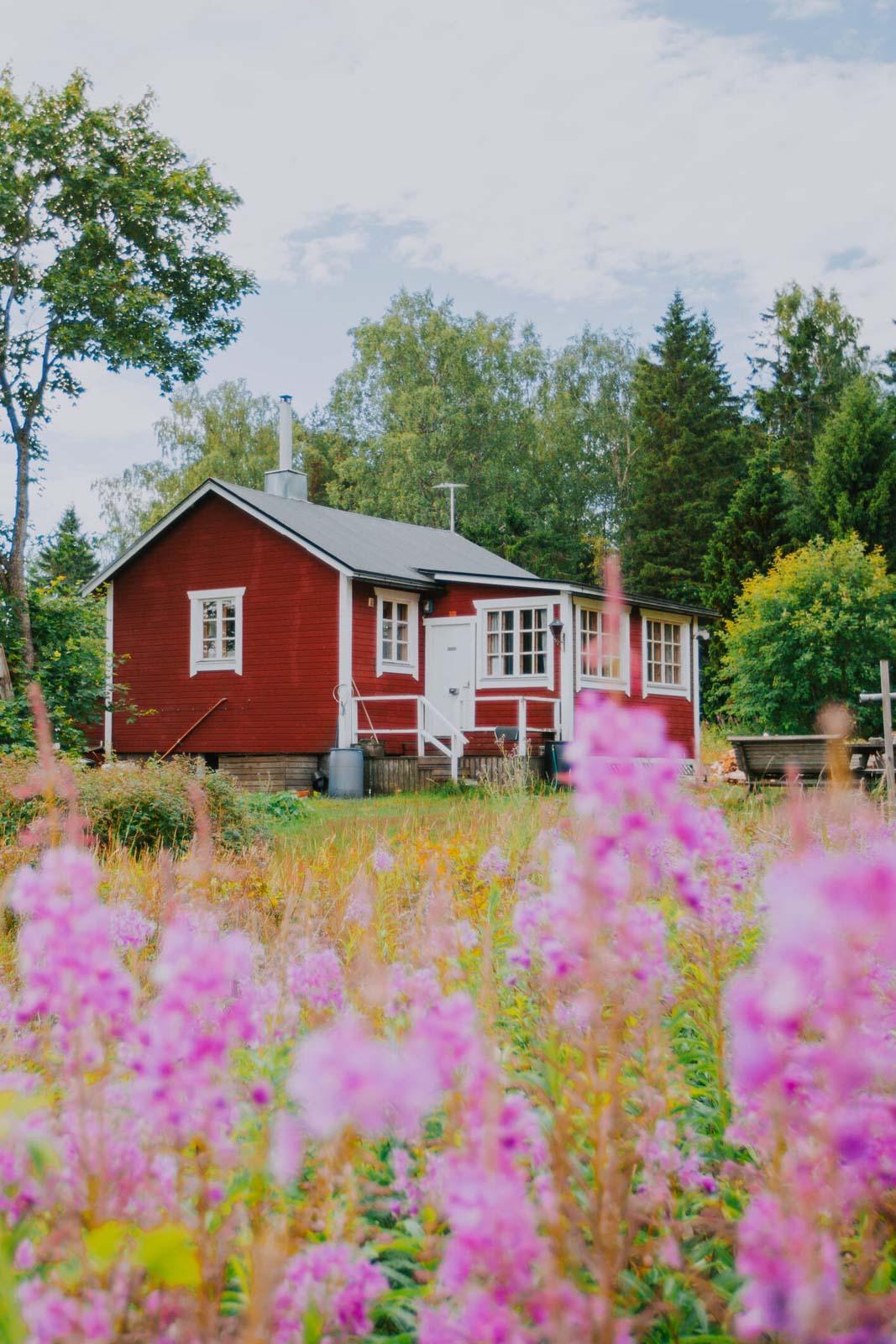 La campagne au milieu de la mer sur l’île de Kaunissaari © Julia Kivela