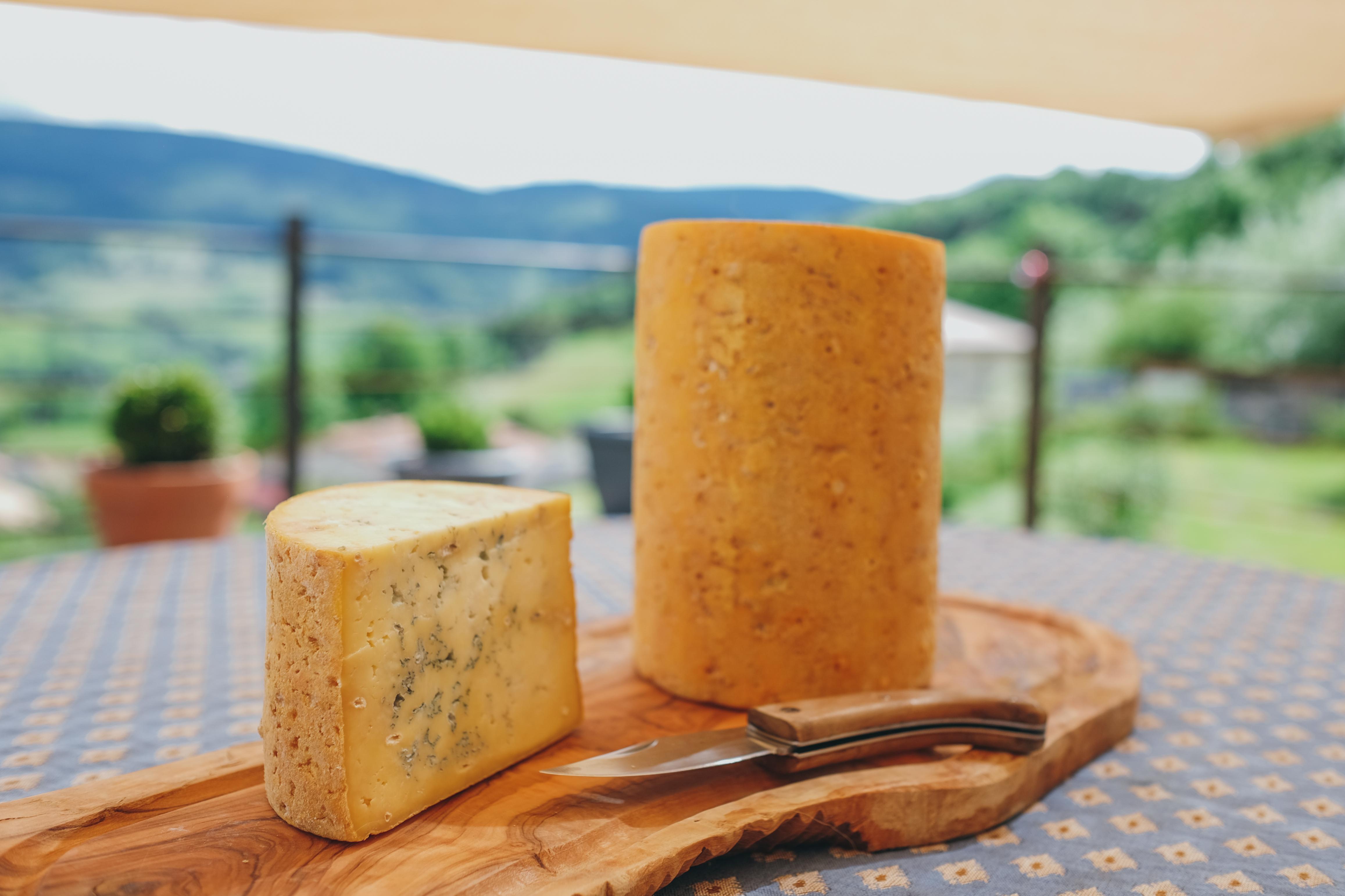 Fourme de Montbrison © Misscoolpics
