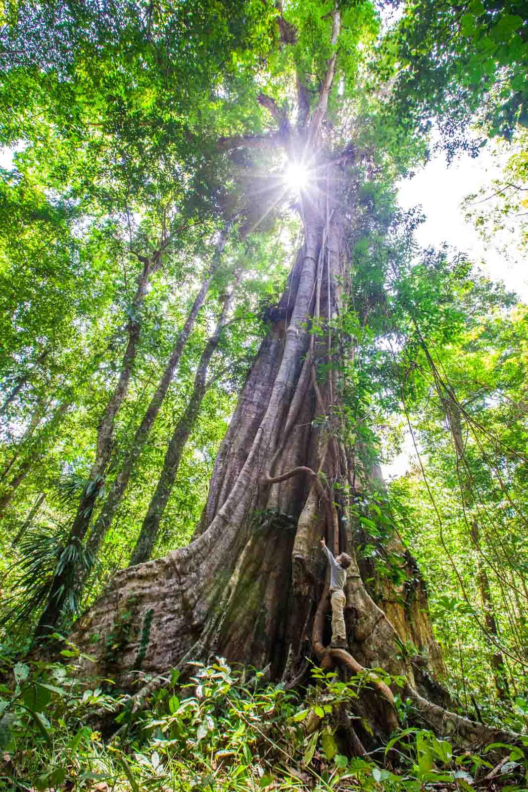 Découvrir la Guyane : le top 10 des expériences incontournables