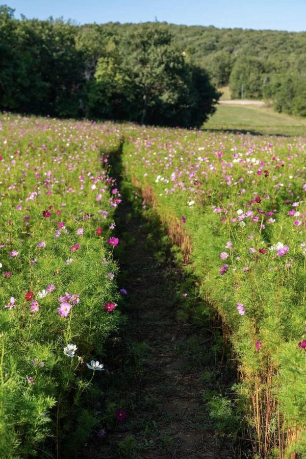 La Promenade Bas Smet