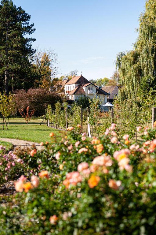 Le potager de l’hôtel © Hostellerie de Levernois 