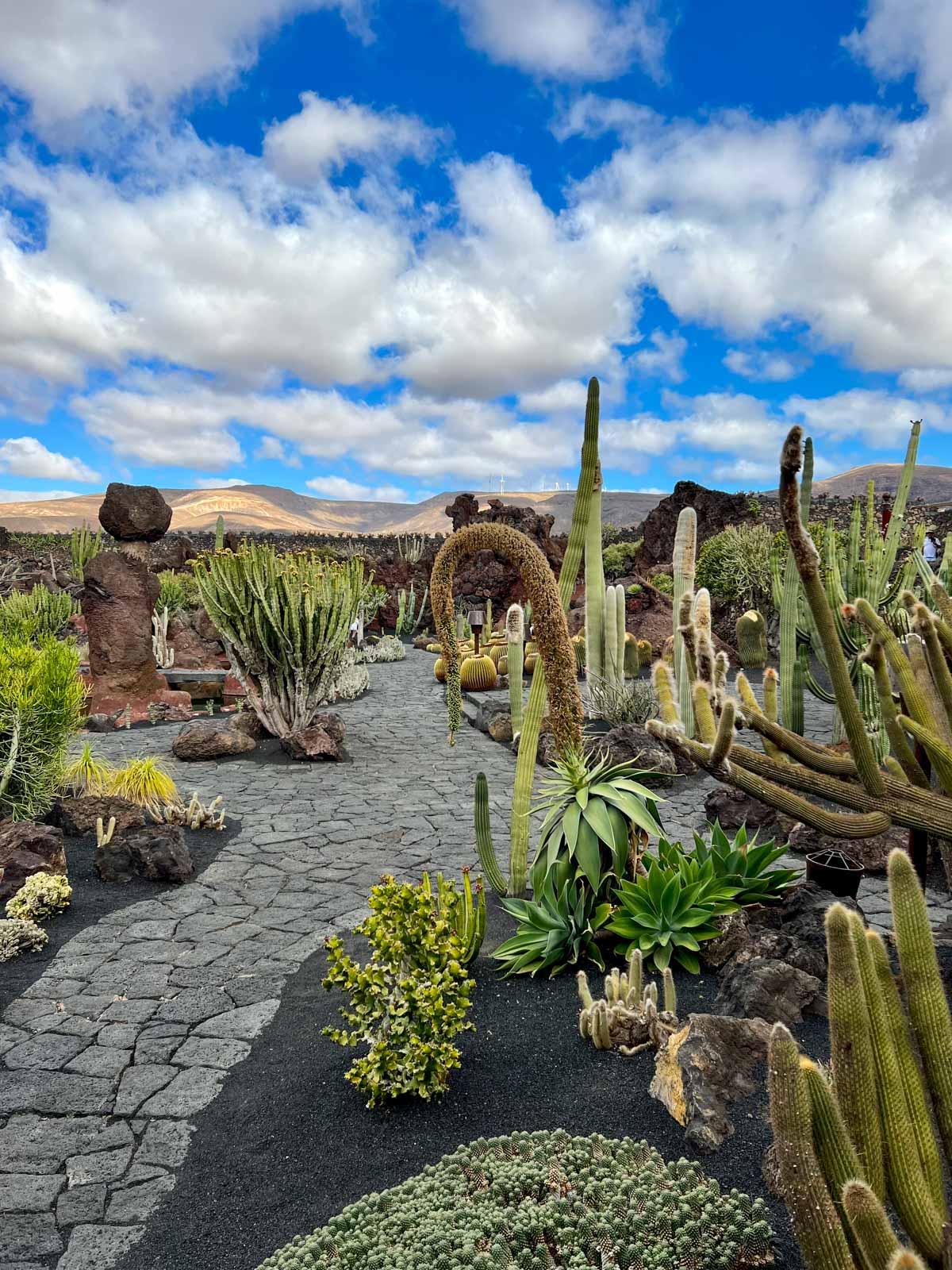 Le jardin de cactus © Pierre Gautrand 