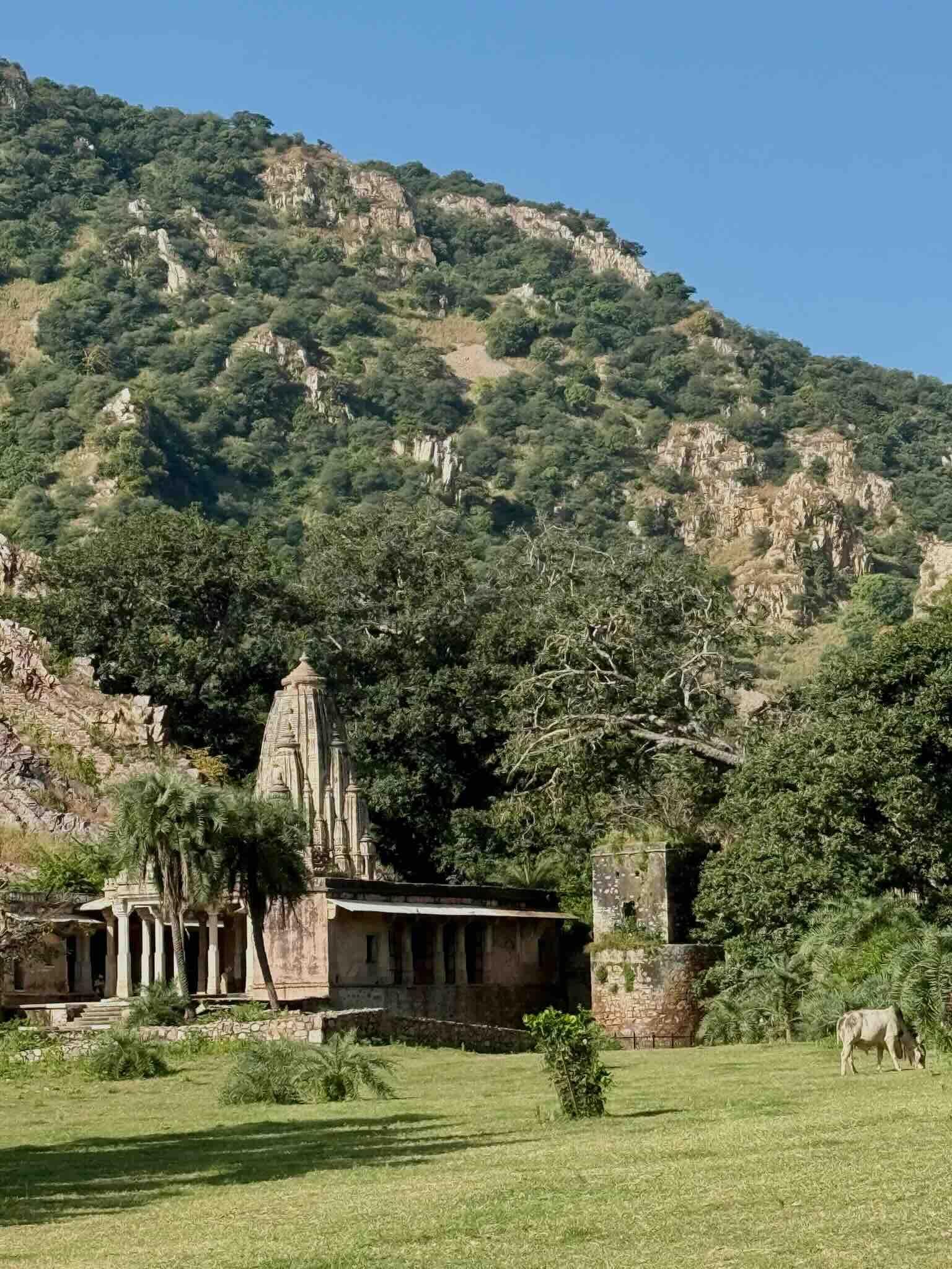 Le Bhangarh Fort © EL