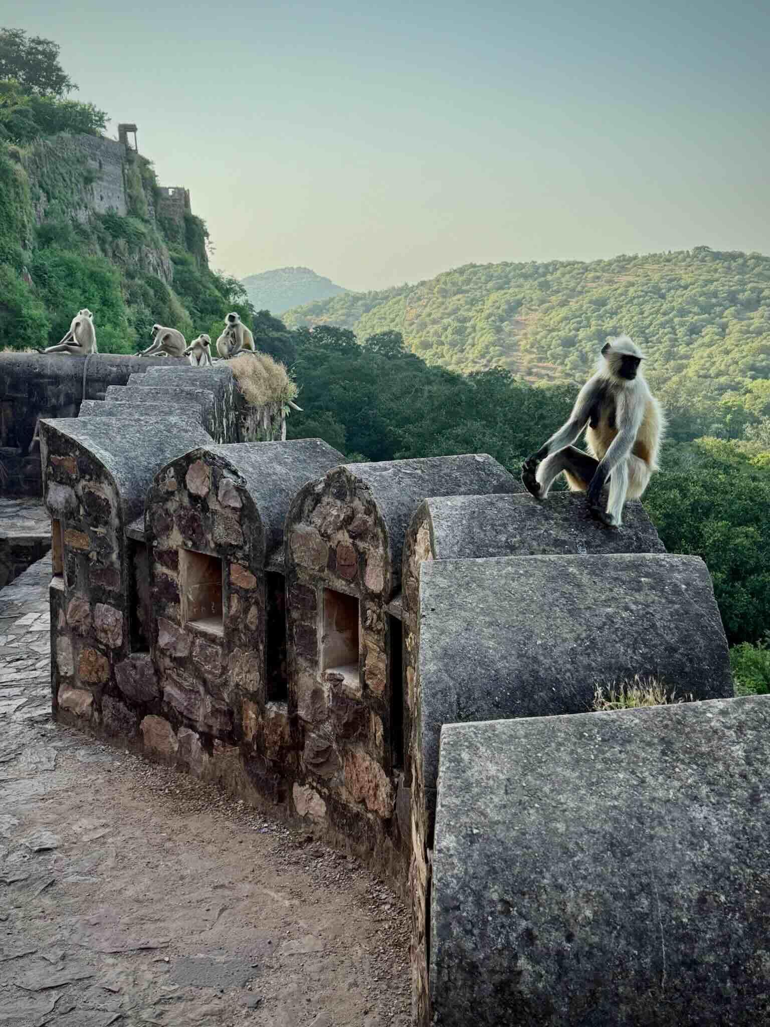 Visite privée du Fort de Ranthambhore © EL