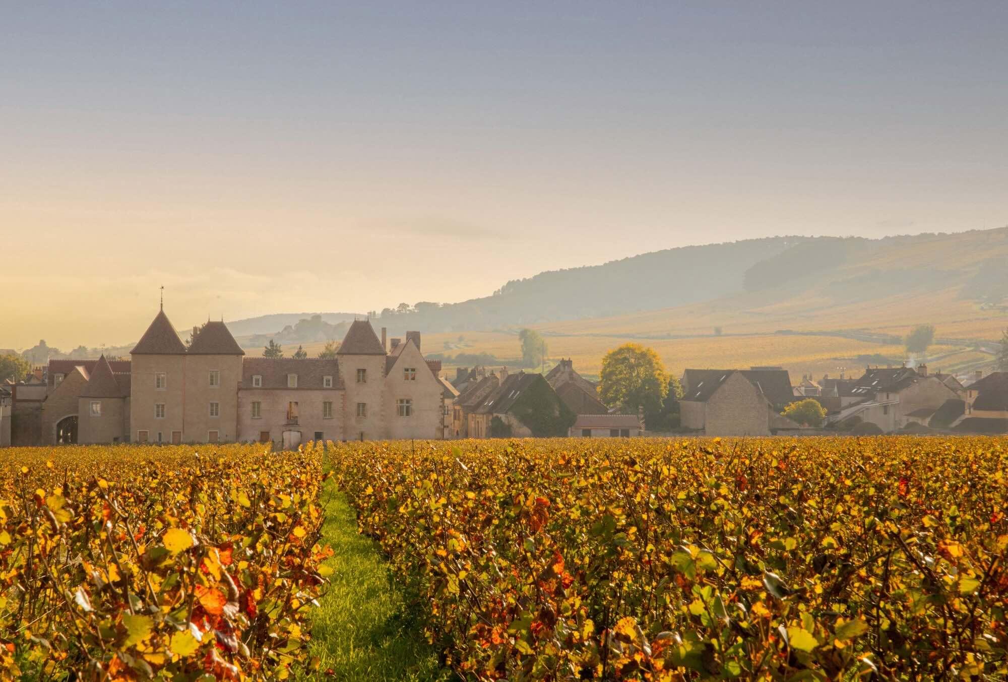 Dormir dans le Château La Commaraine autour des vignes © Lucile Godet