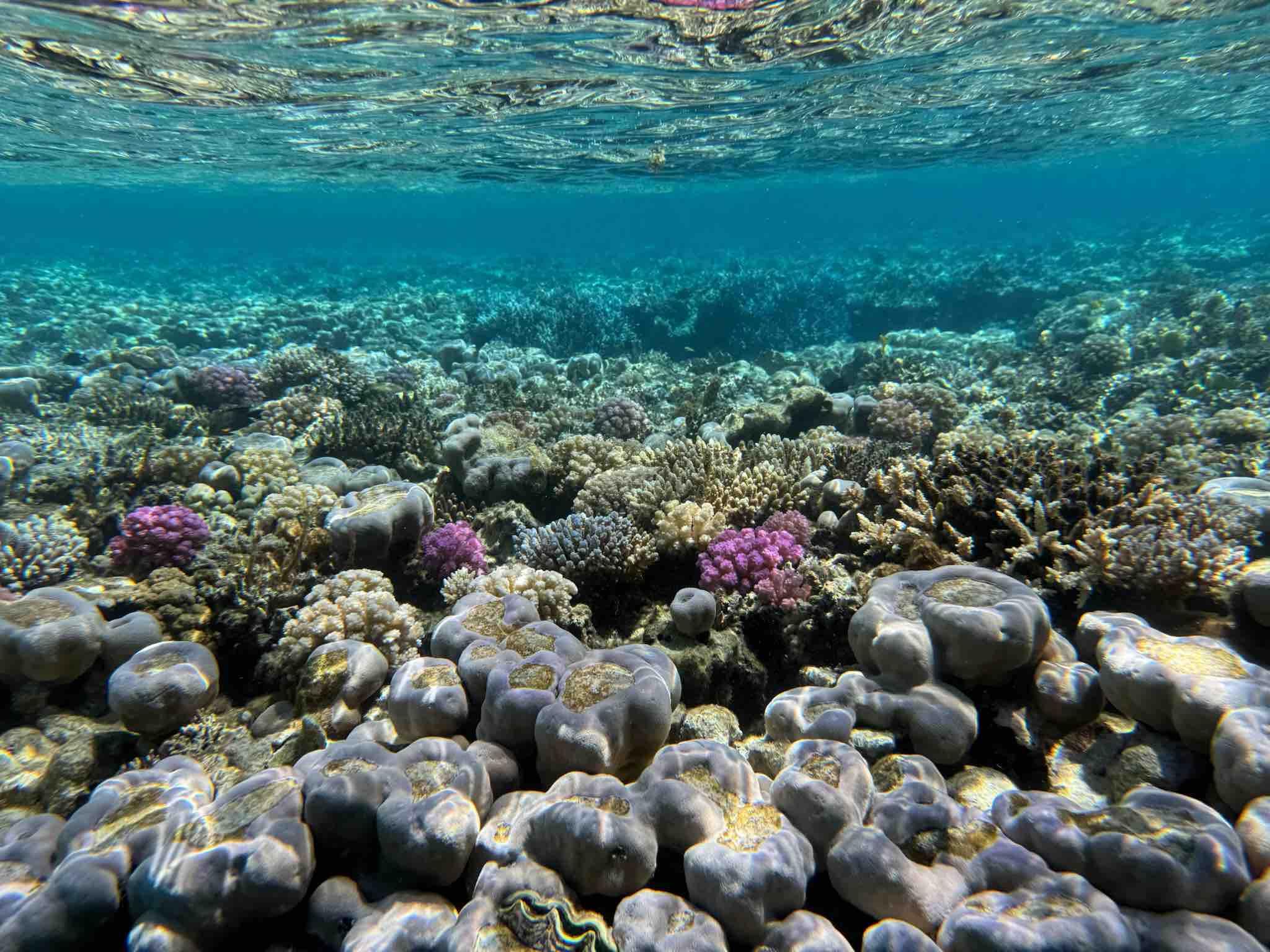 Premiers pas sous l’eau © Emmanuel Laveran
