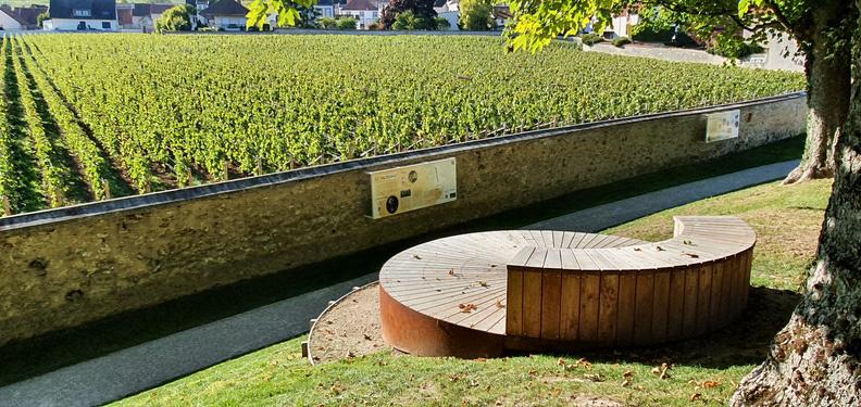 Jardin de vignes Clos Saint-Vincent © OTEEC