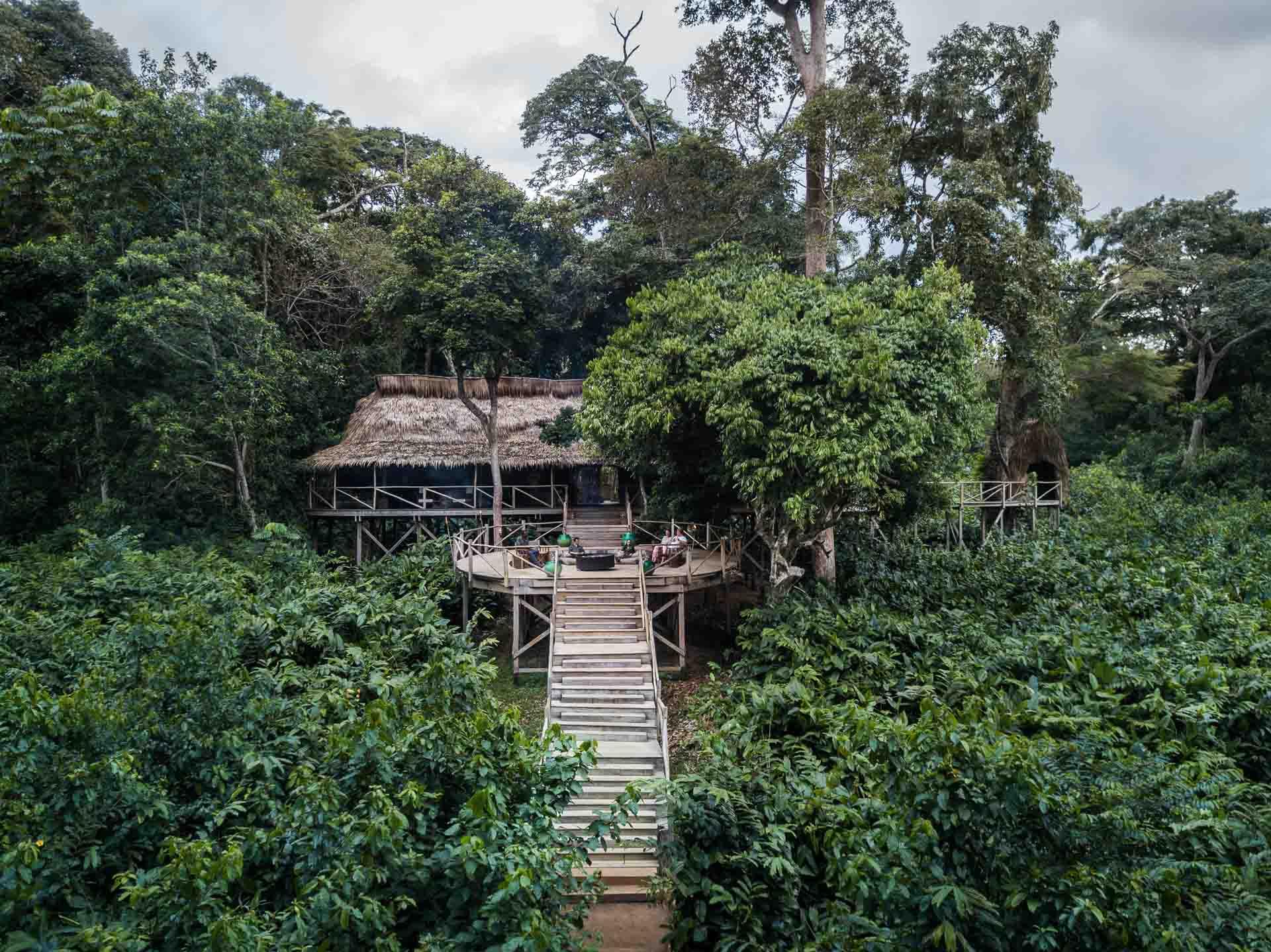 Kamba © Scott Ramsey