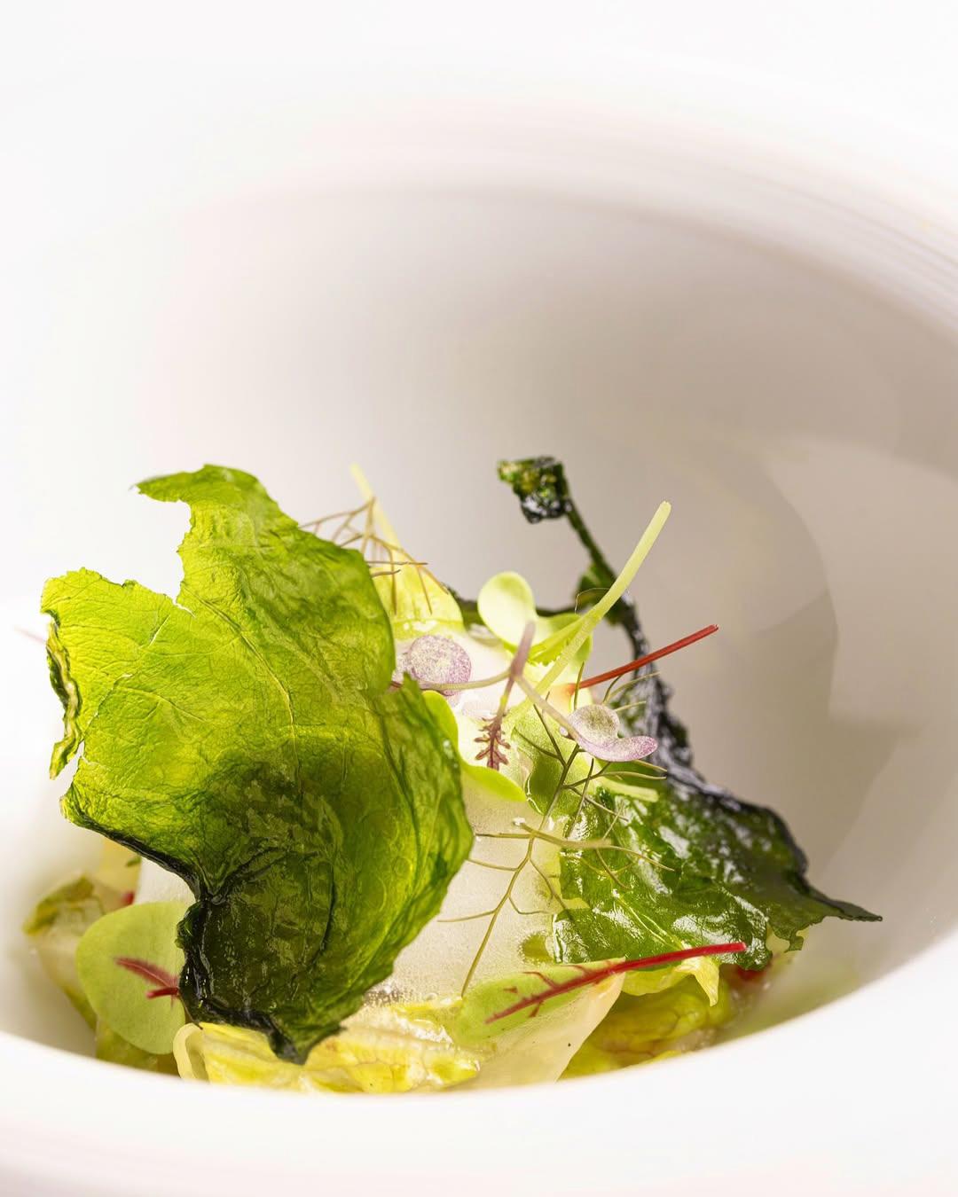 Laitue braisée, trévise glacée, vinaigrette tagète - pré dessert à l’Oiseau Blanc © arbesfood