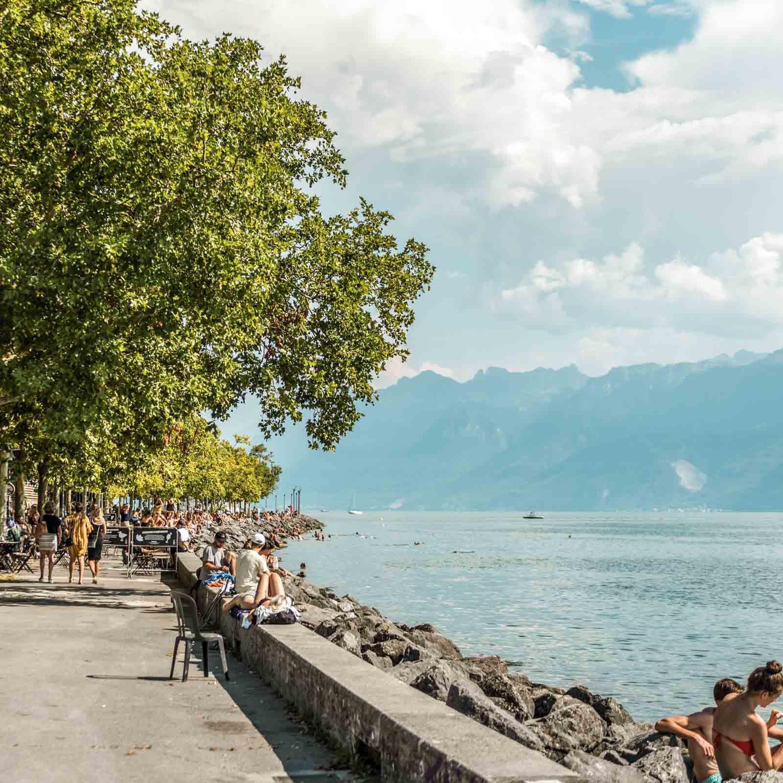 Les berges du lac Léman © André Meier