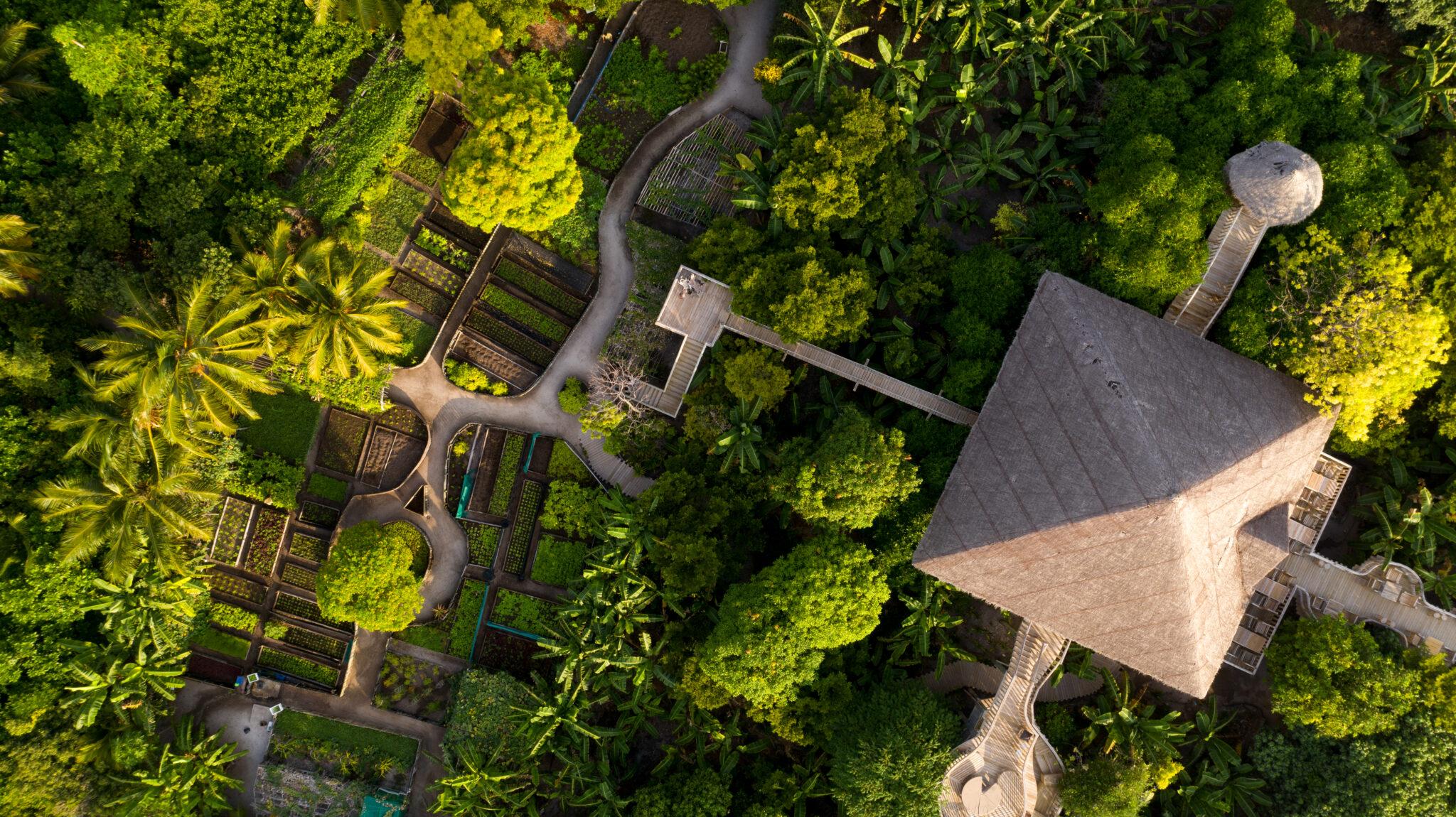  Le potager écoresponsable de Soneva Fushi - Maldives