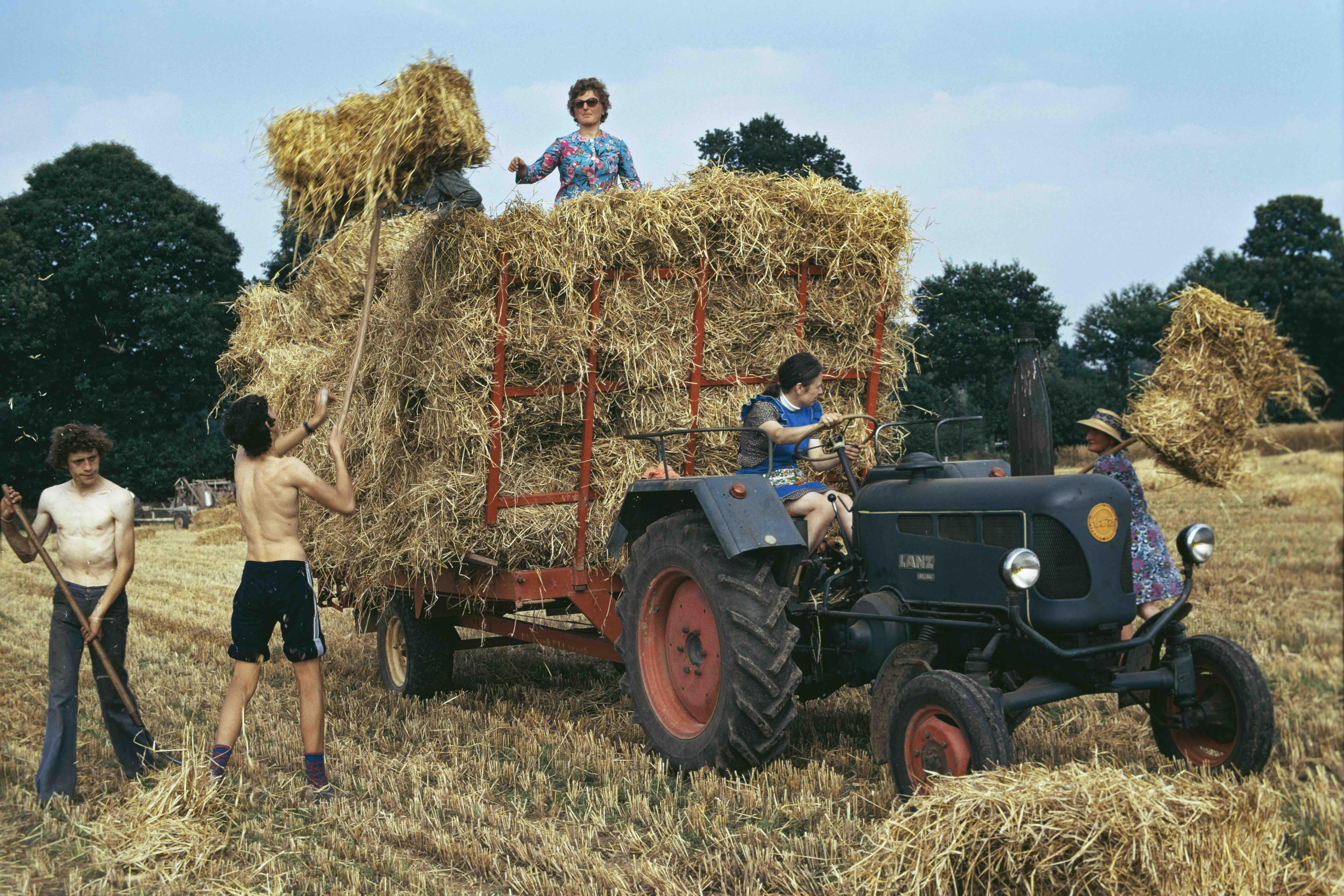 Madeleine de Sinéty Les Foins, Le Bas- Morand, 1974