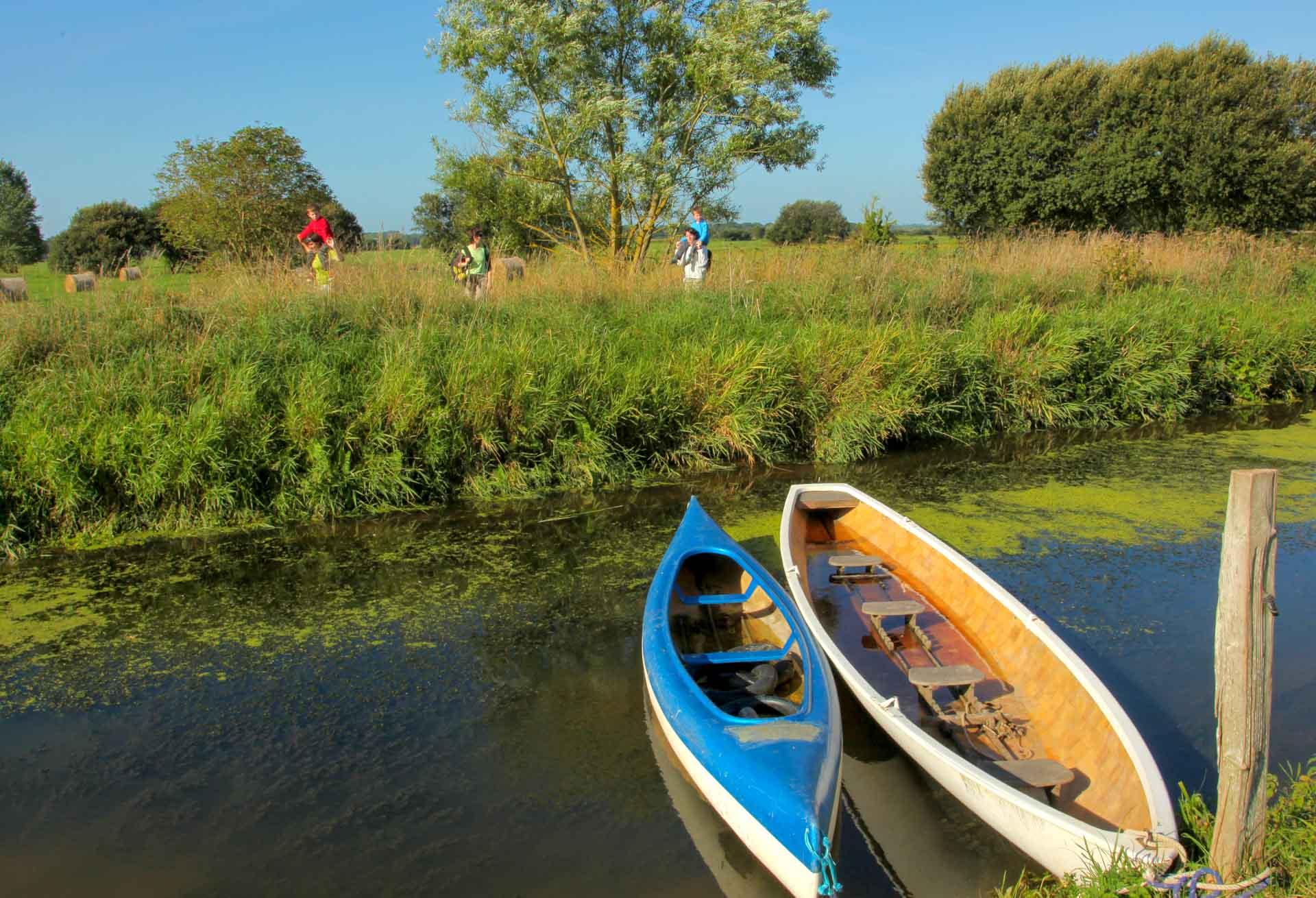 Marais du Bessin — Calvados © Gregory Wait