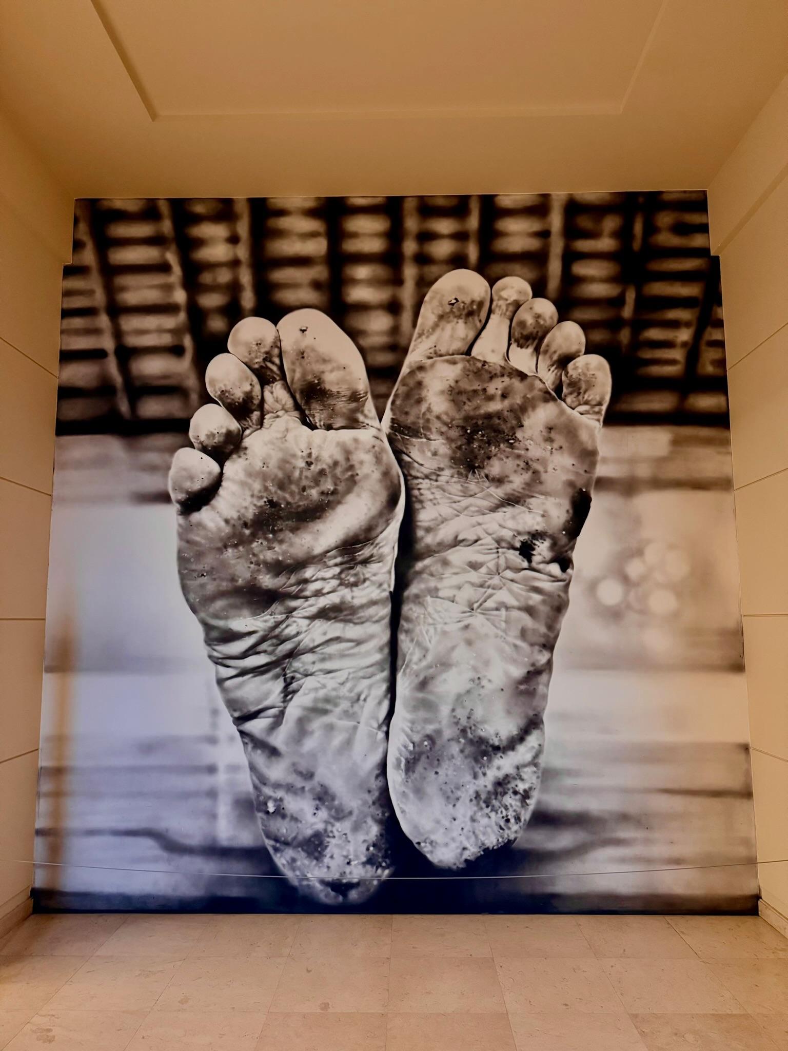 L’exposition Maurizio Cattelan à la Fondation Serralves © Emmanuel Laveran