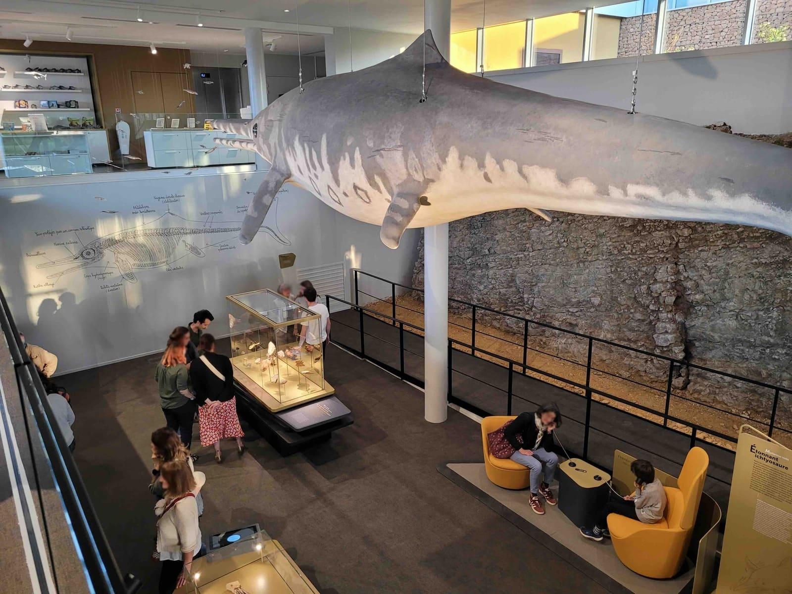 Visiter le musée Fossiléa © Musée Fossiléa 