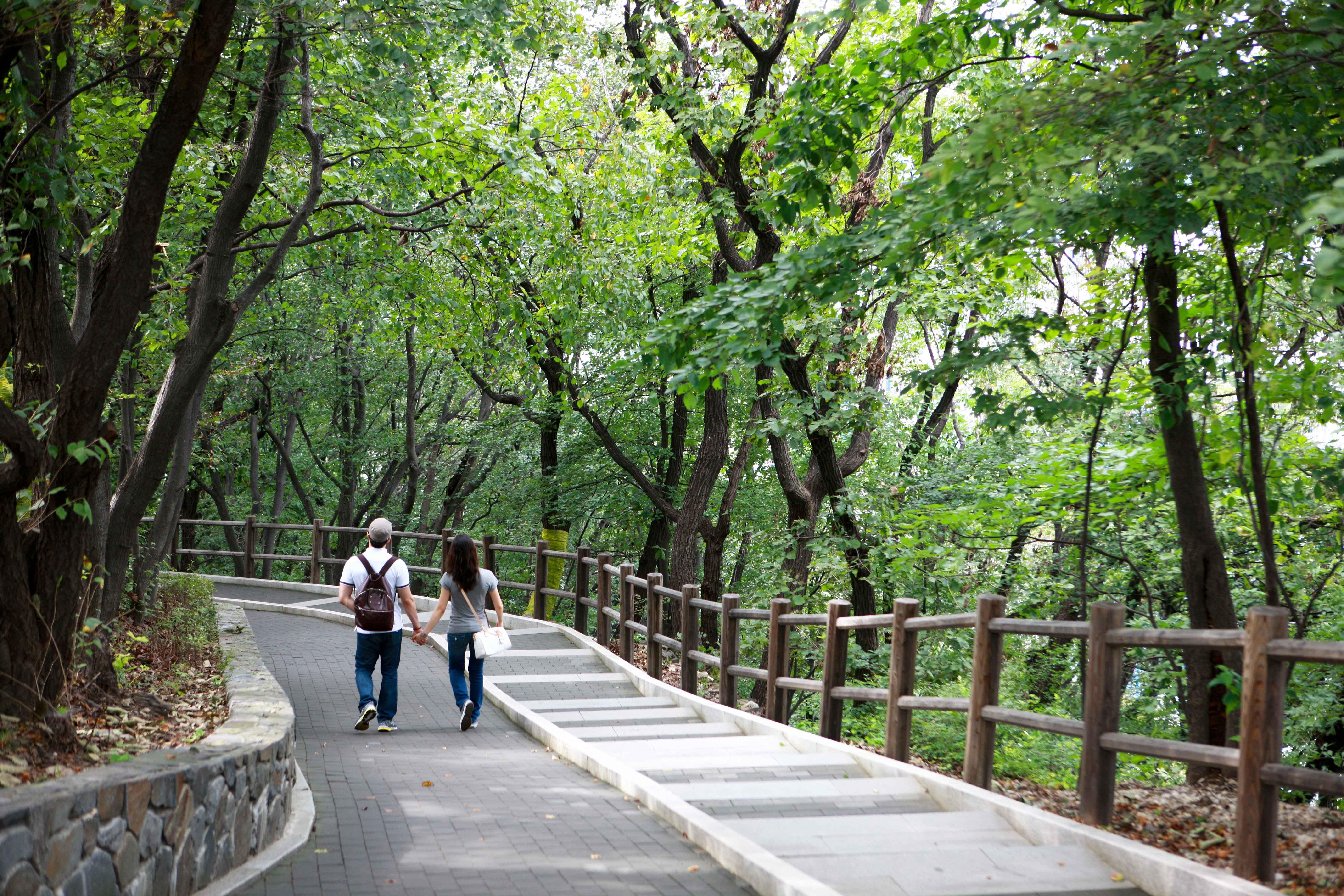 Namsan Park ⓒ Photo Korea 