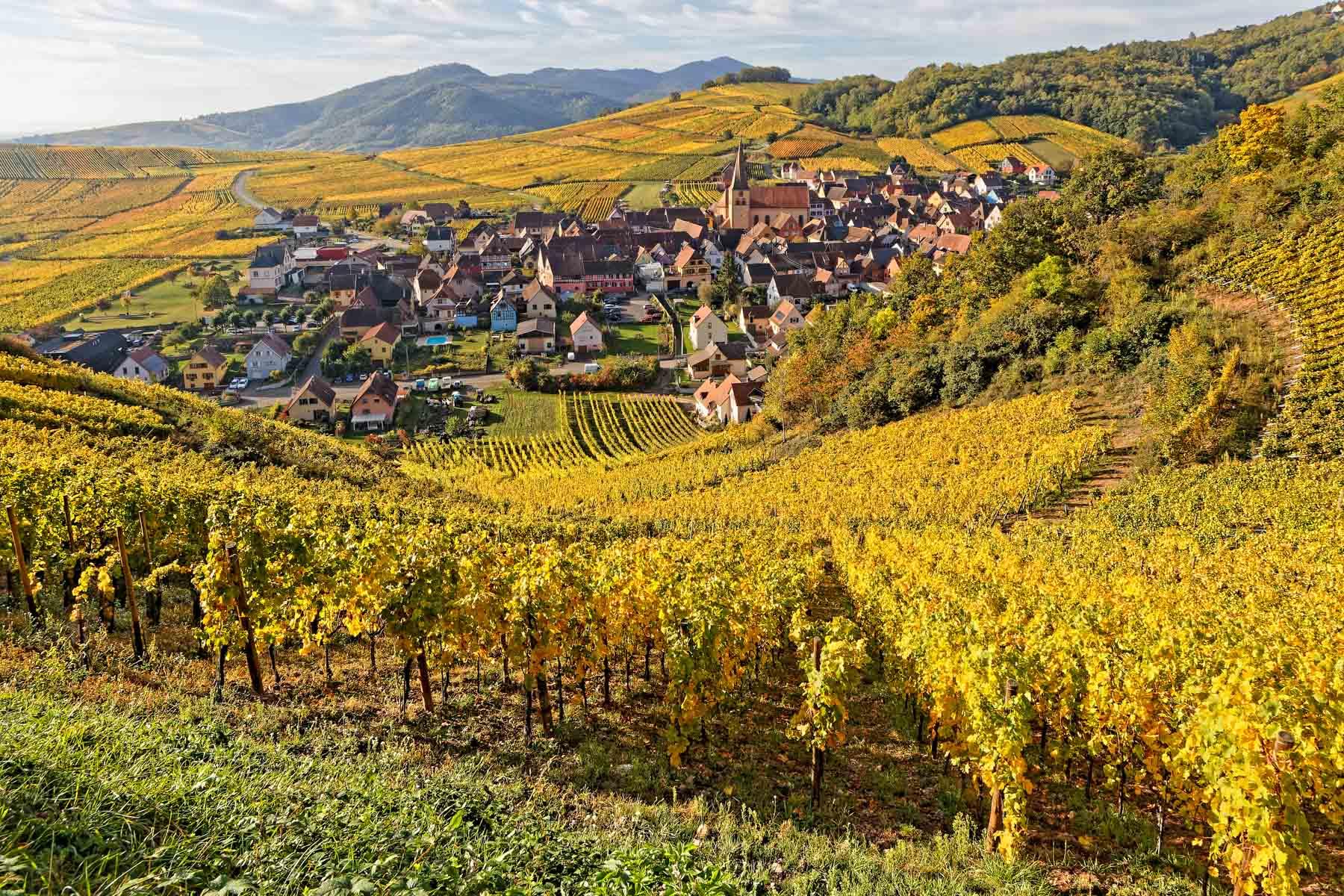 Niedermorschwihr © Pierre-Jean Durieu