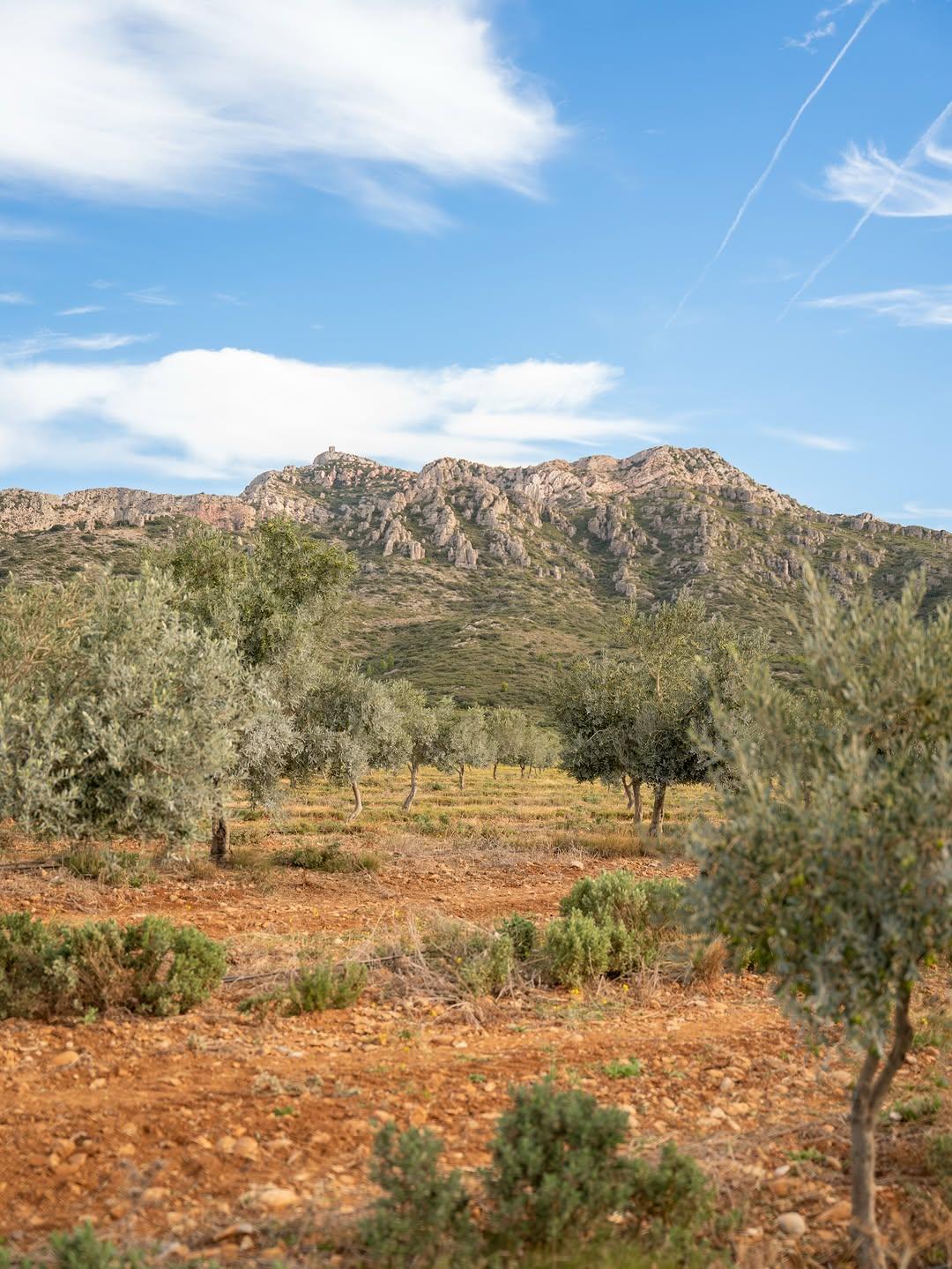 On a testé l’hôtel à l’art de vivre provençal, le Domaine Jòlibois