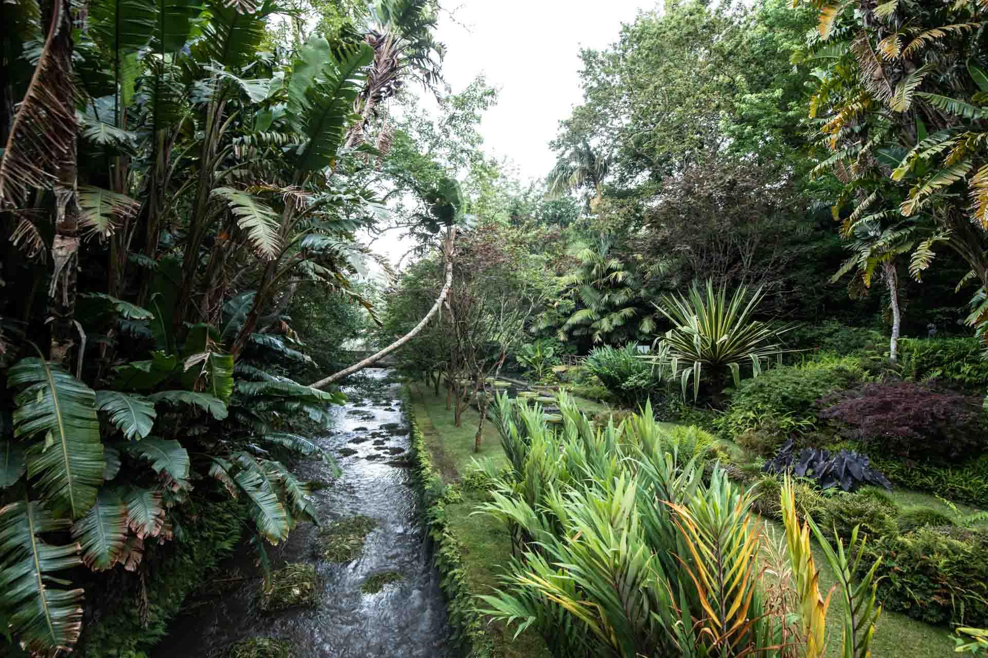 Le Parque Terra Nostra et sa végétation luxuriante © VisitAzores