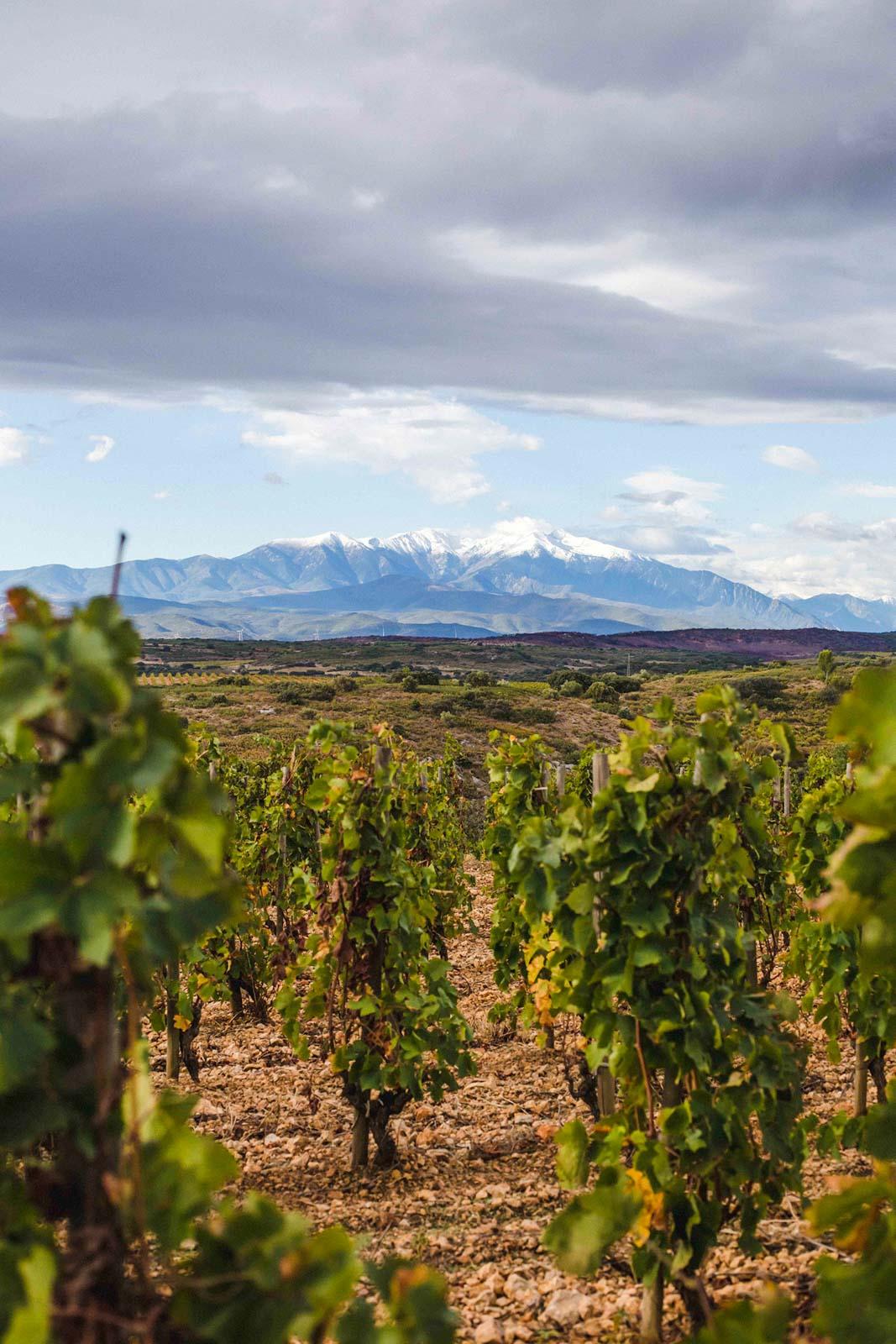 Perpignan Méditerranée © Pauline Chatelan 