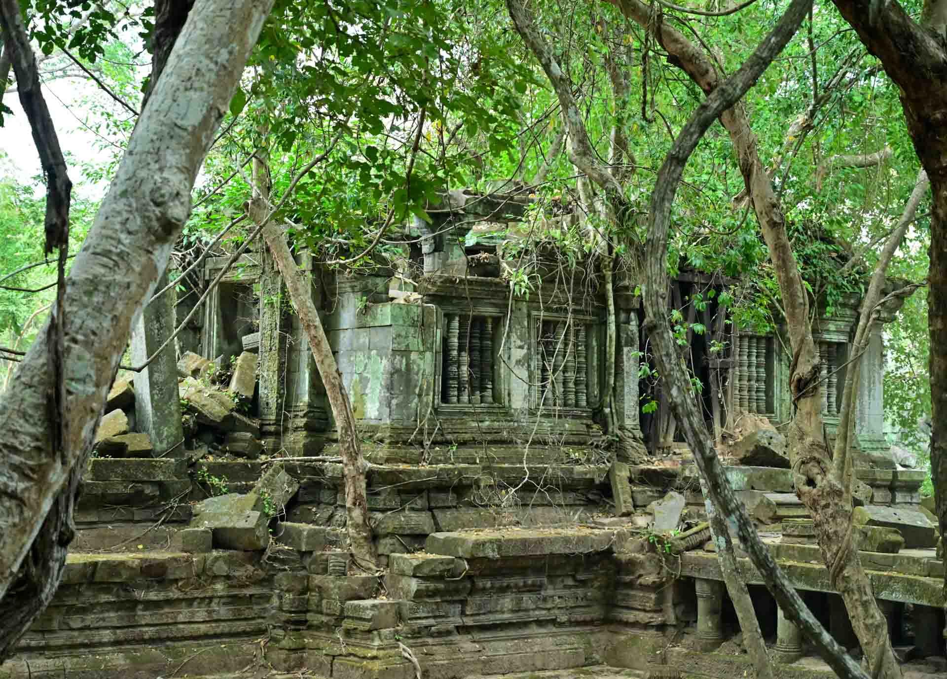 Beng Mealea, étranglé par la nature © Pascale Missoud