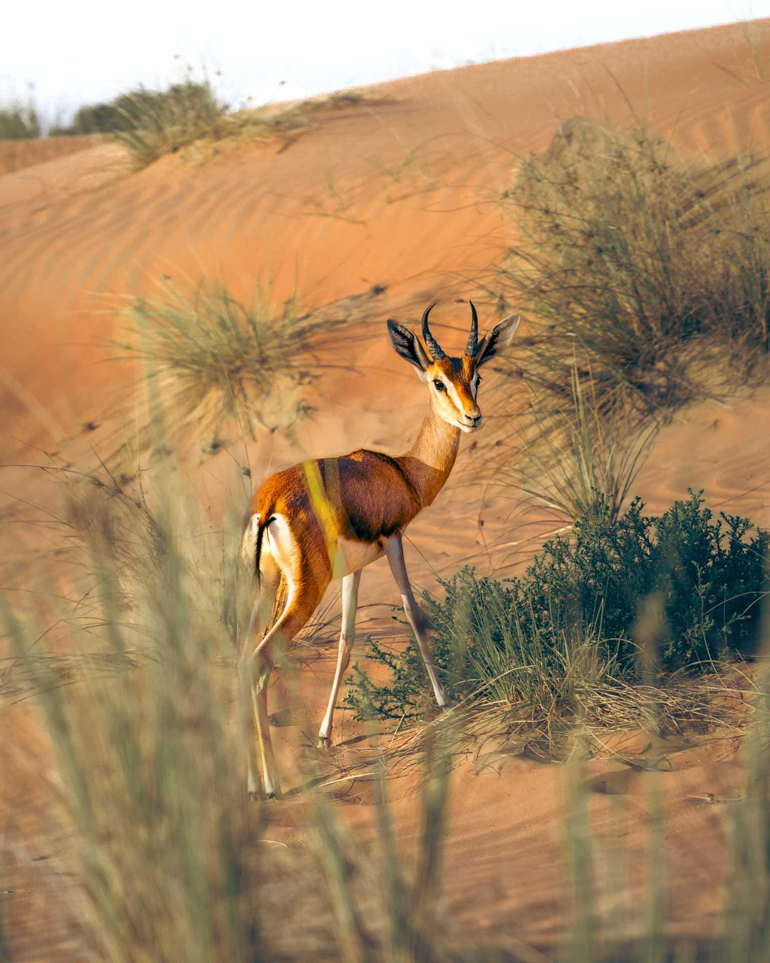 © Hero Experiences Group