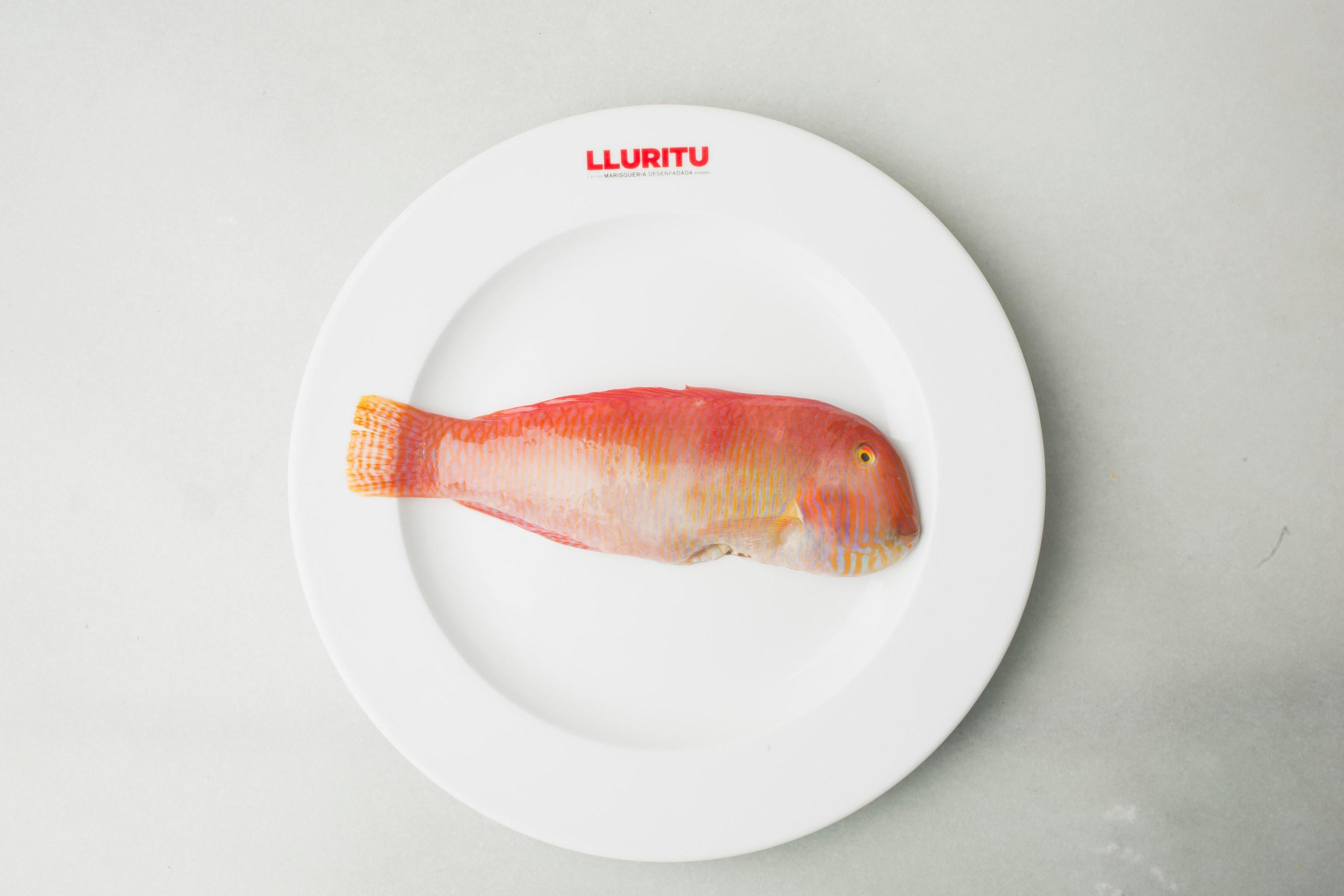 Fruits de mer dans une marisquería tendance de Barcelone © Lluritu