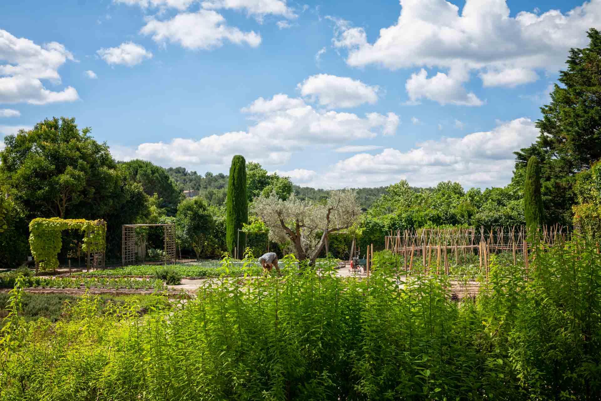 Le potager de Baumanière © G. Gleize