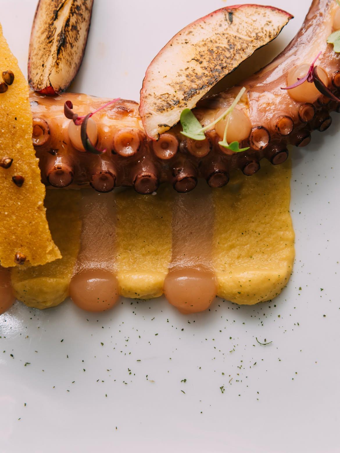 Poulpe de Bretagne, maïs, nectarine © Rivages Restaurant
