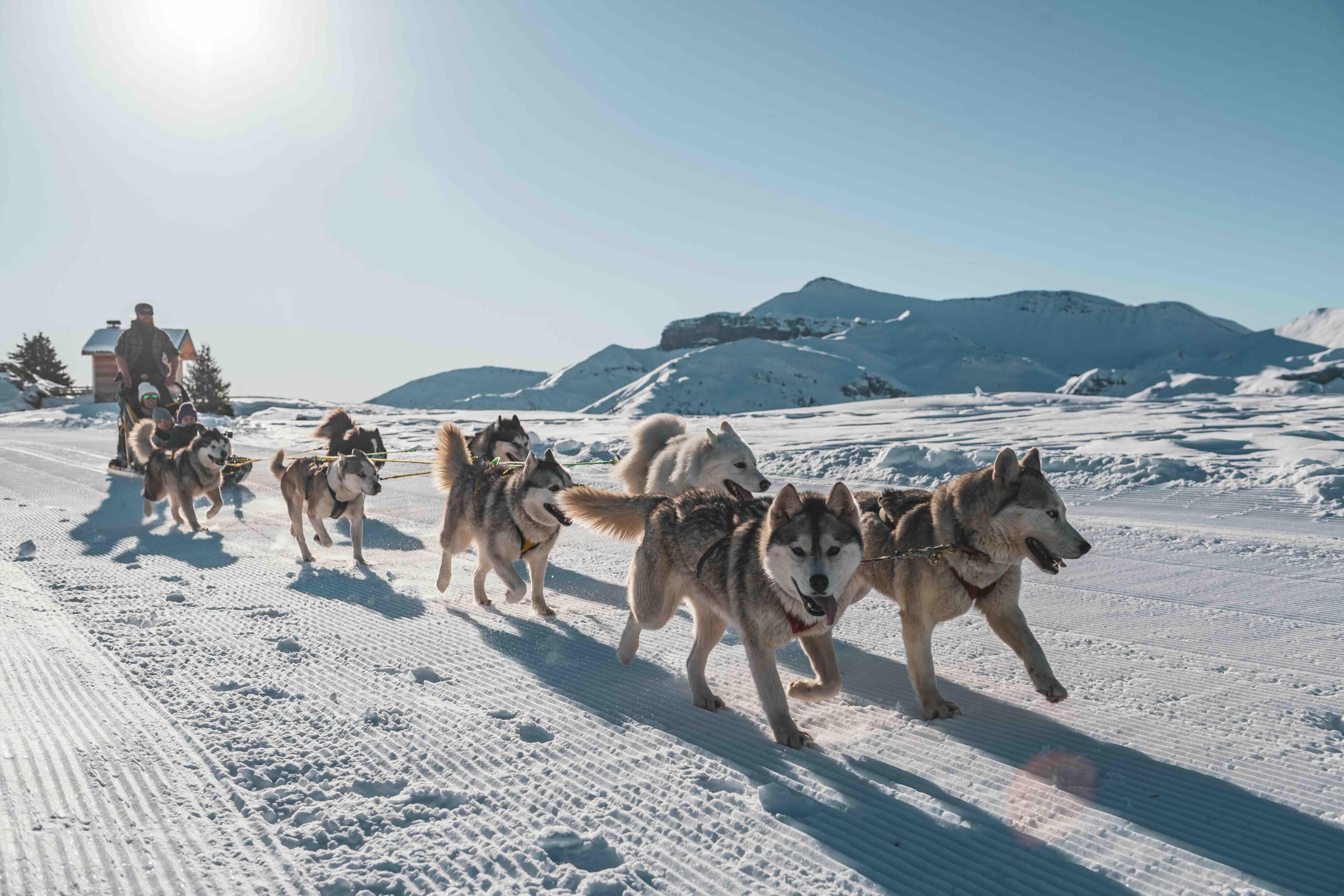 Que faire à Auron ? © Auron_Zoom dans l’Oeil de Fab