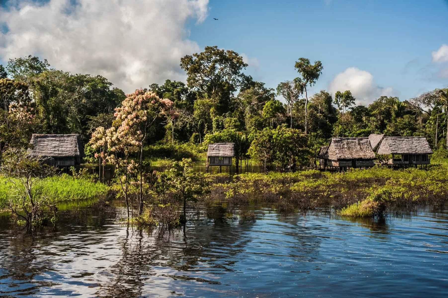 Réserve Pacaya-Samiria lors d’une croisière en Amazonie avec Aqua Expeditions © Aqua Expeditions