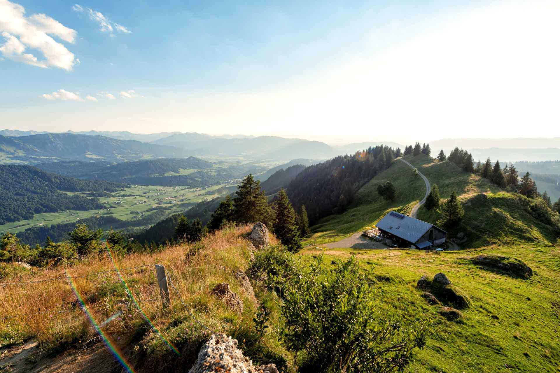 Randonnée sur le Hochhaederich © Bregenzerwald Tourismus, Johannes Fink
