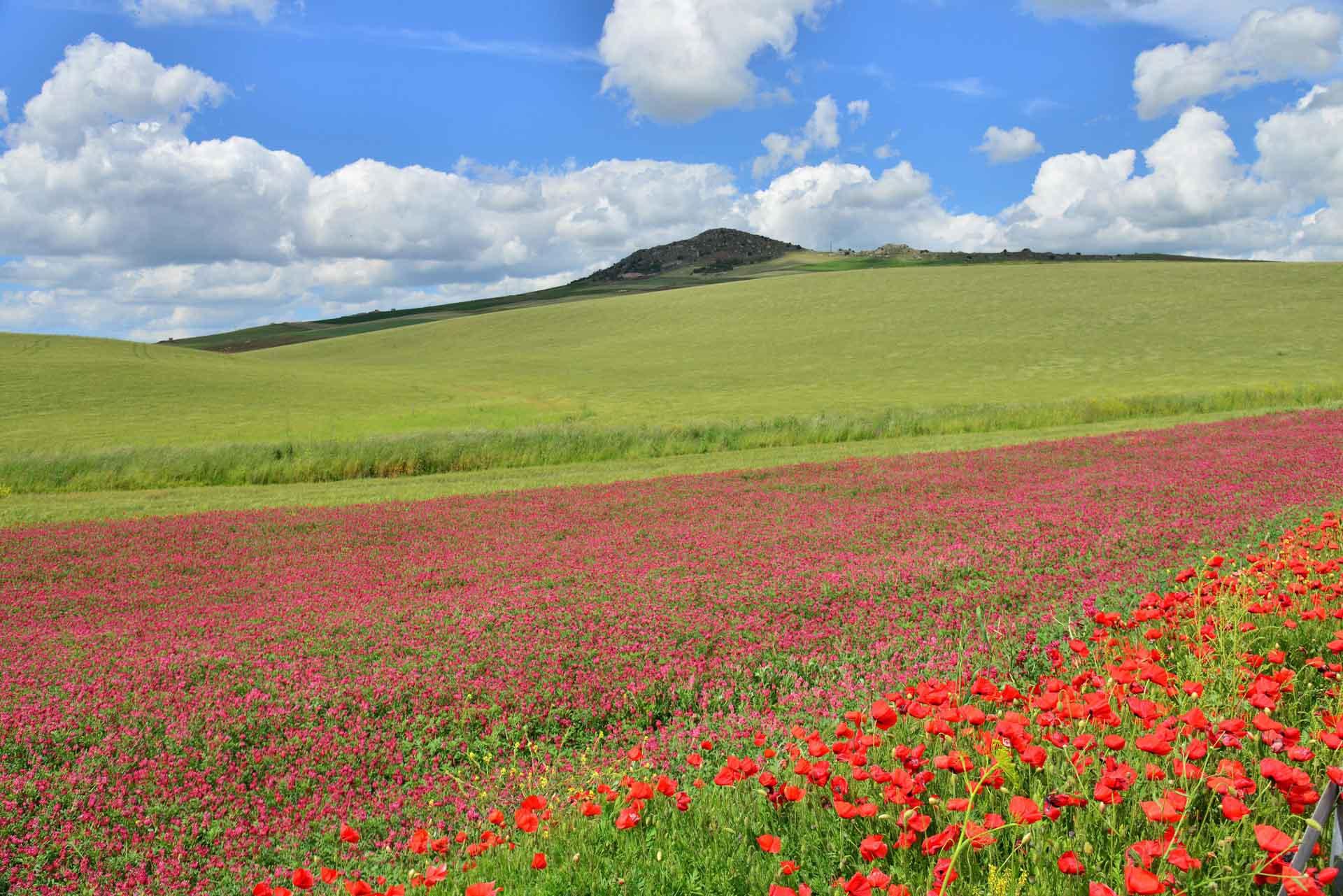 Paysage de Sicile au printemps © Antoine Lorgnier