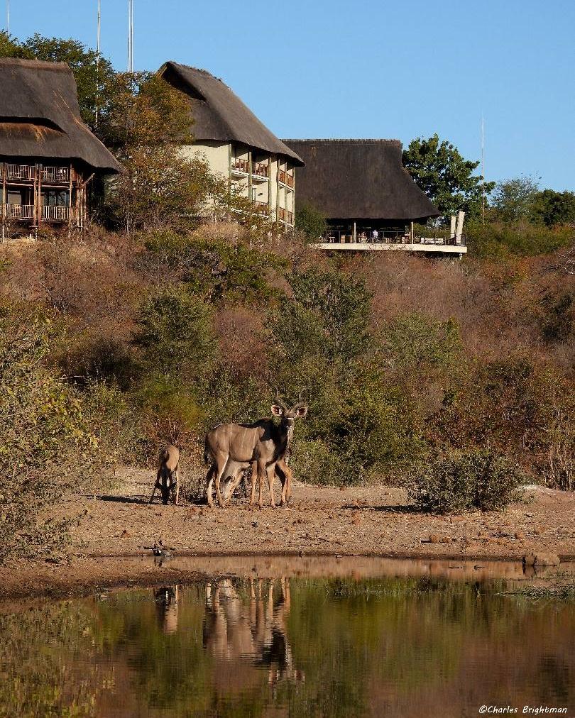 Siduli Hide © Charles Brightman