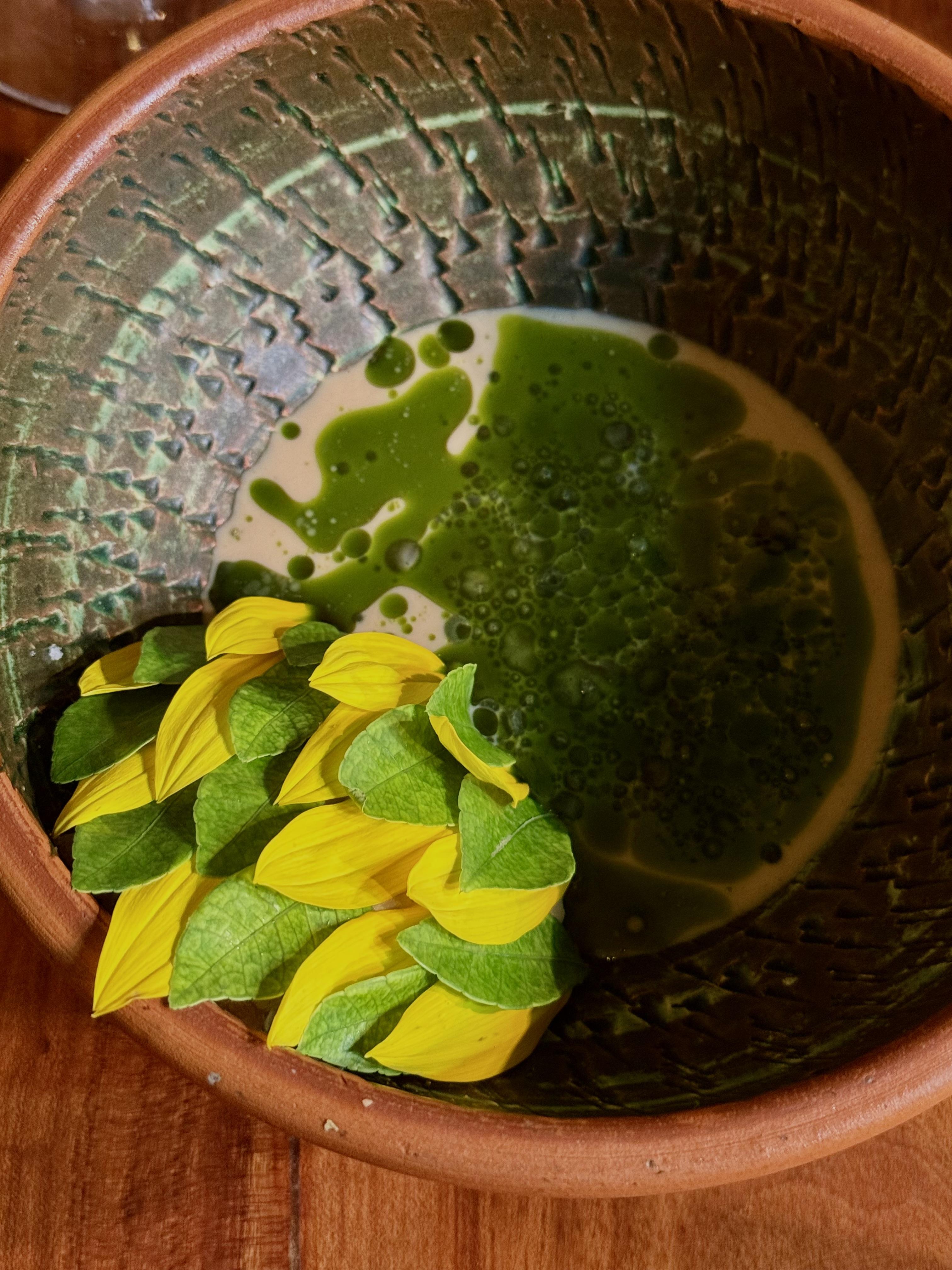 Sous ces pétales se cache un maquereau à Celele © DR