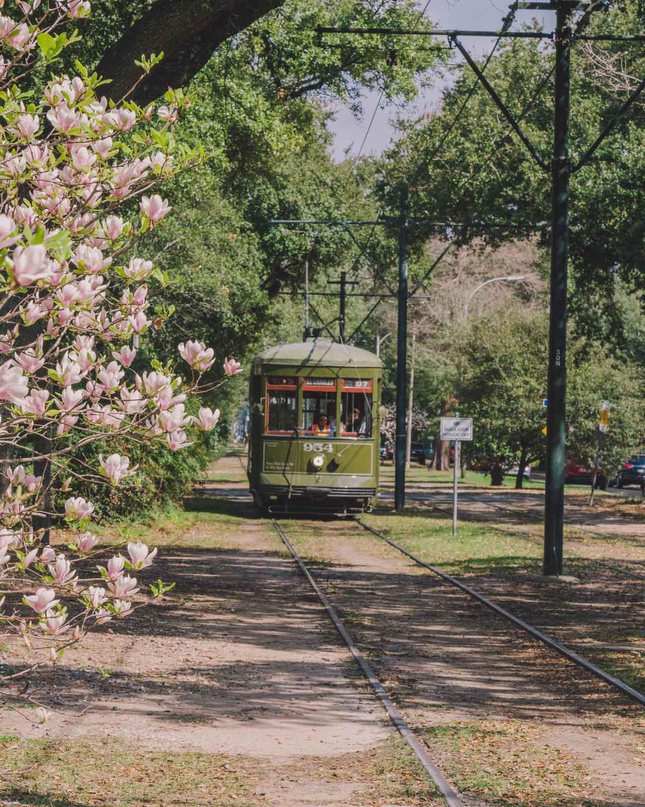 Le tramway de Saint Charles © Paul Broussard