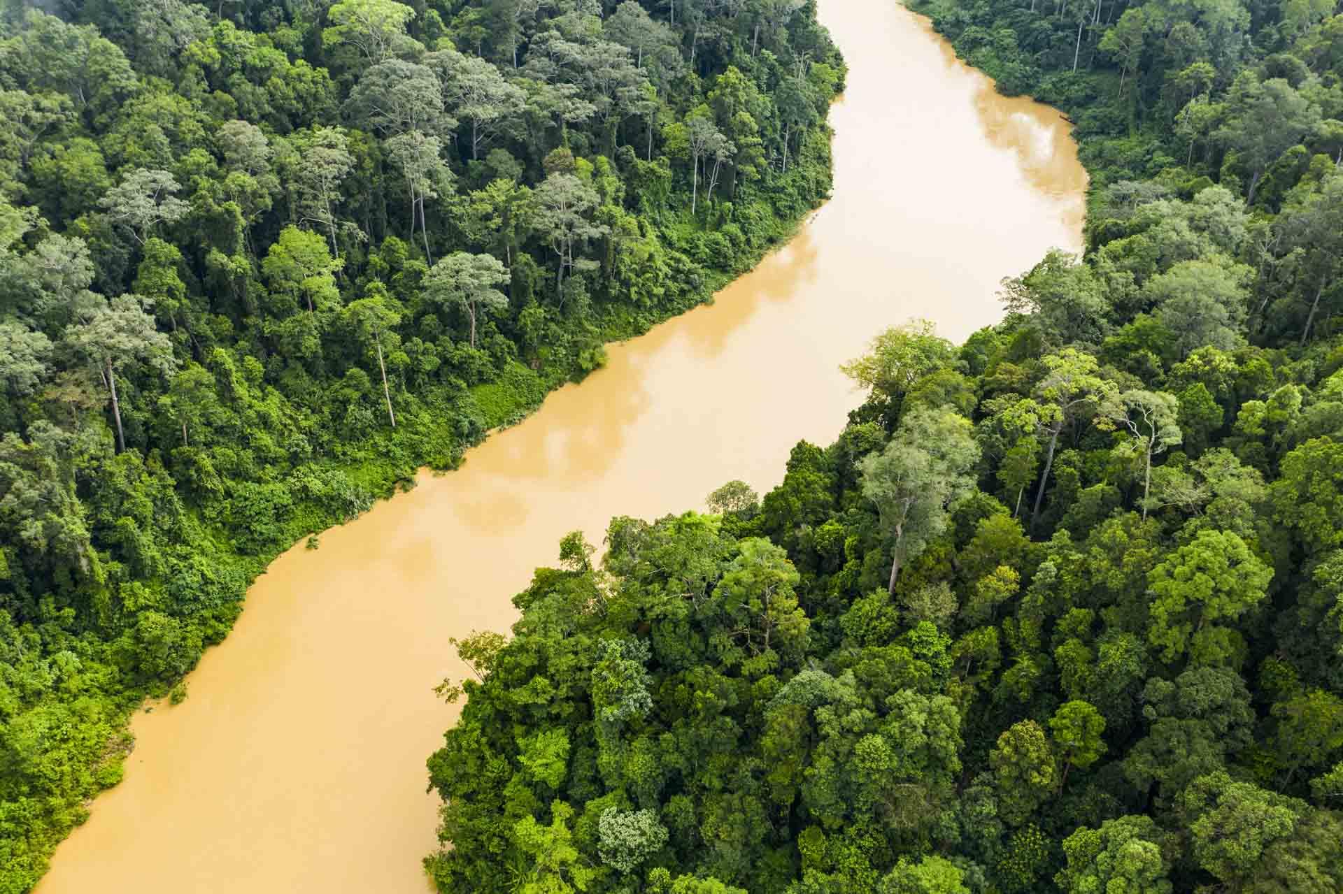 La rivière Sungai dans le Taman Negara © AdobeStock - TravelWild