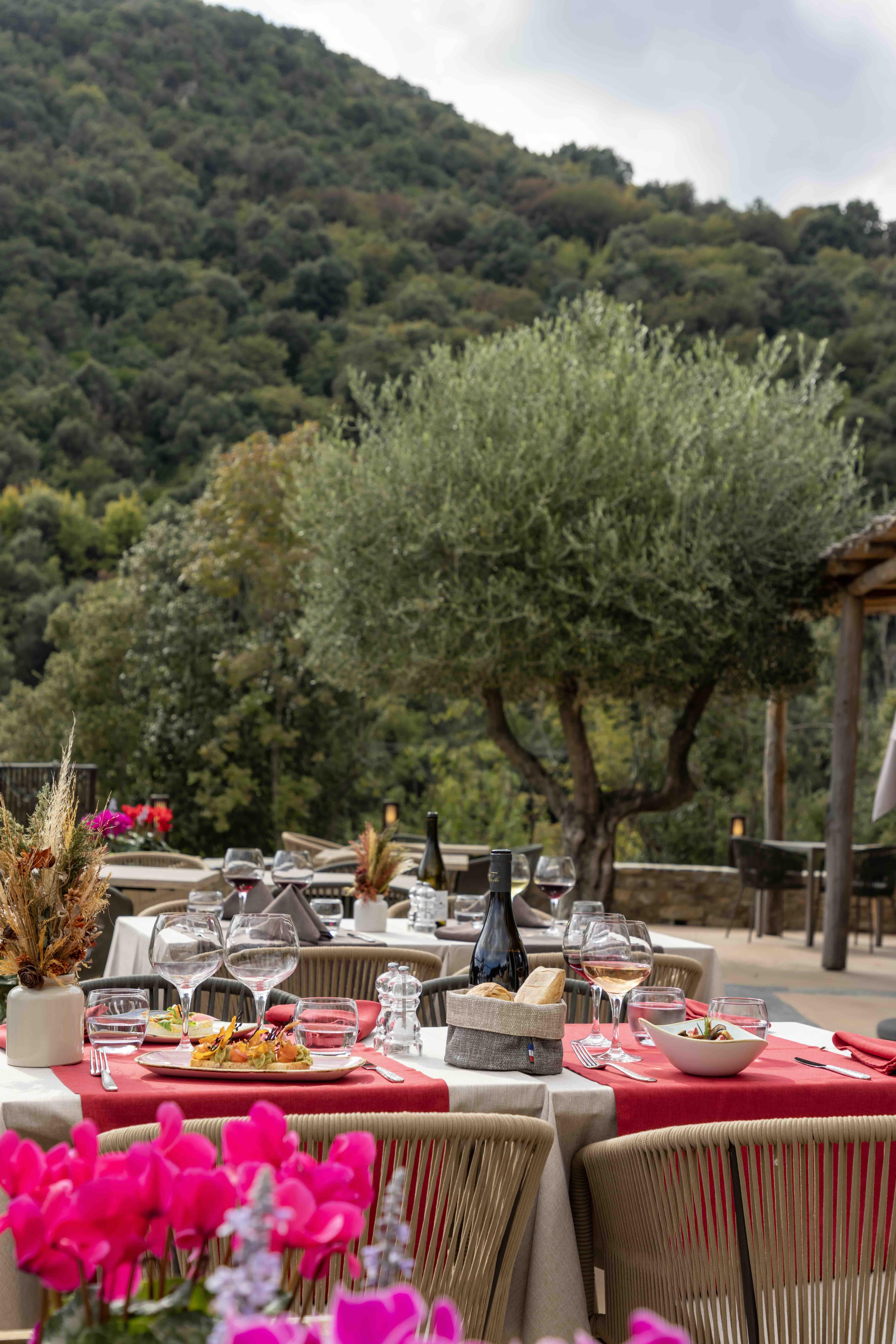 On a testé le domaine Santa Margherita, la découverte de la Corse authentique © Domaine Santa Margherita