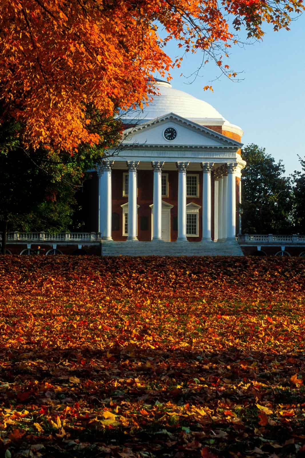 L’université de Virginie © AdobeStock
