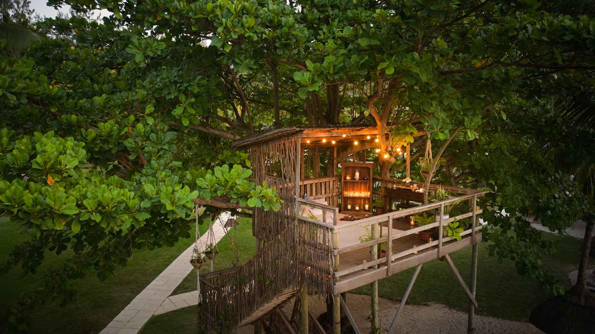 Treehouse 