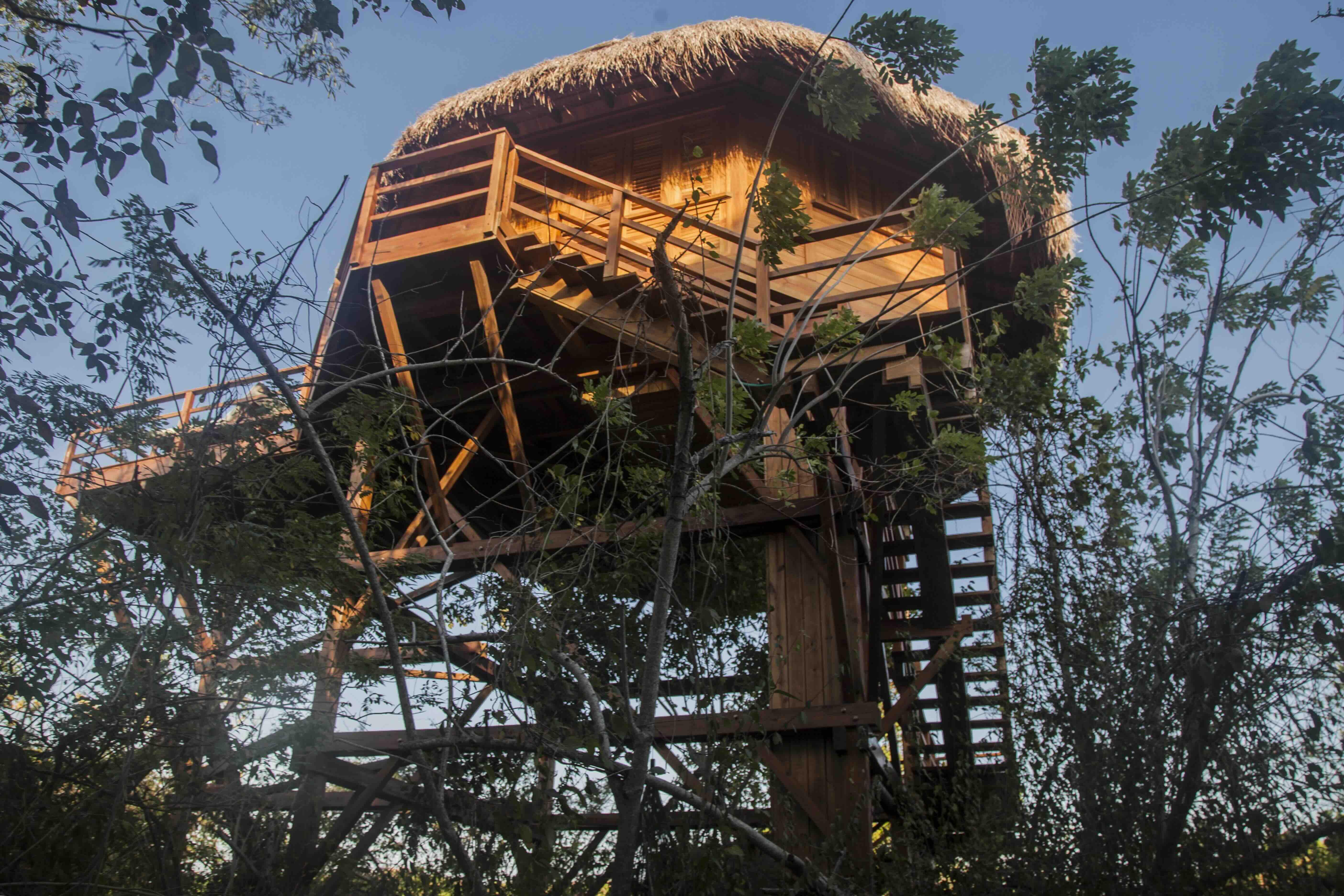Dormir dans les arbres à © Las Islas Baru